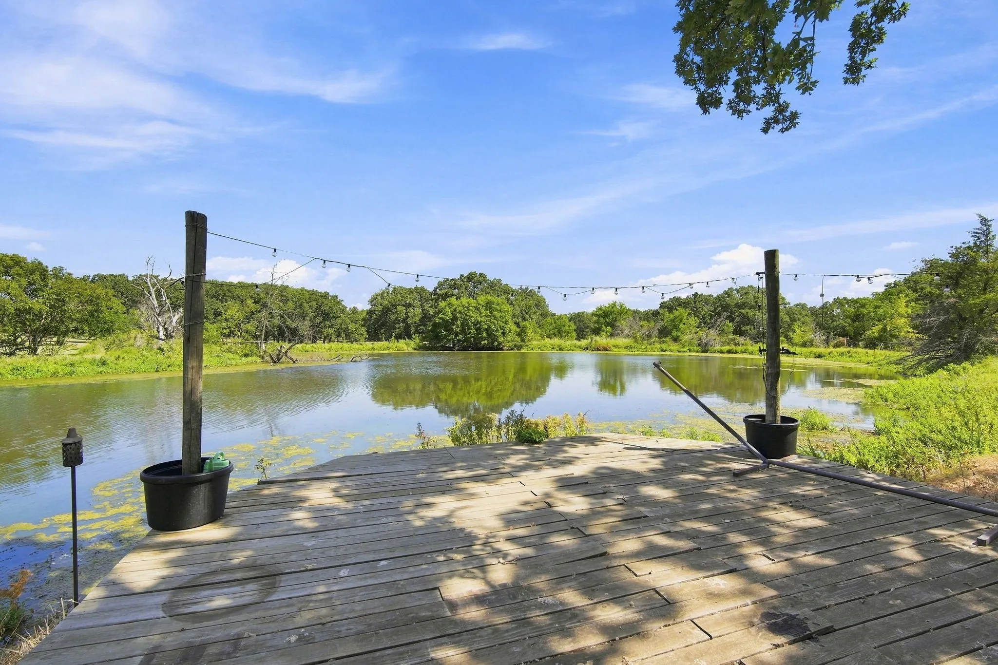 Good view of pond
