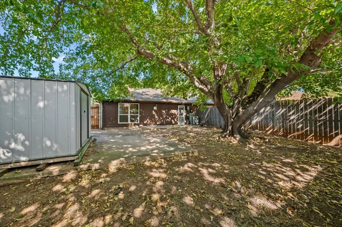 Nice size backyard with large shade tree