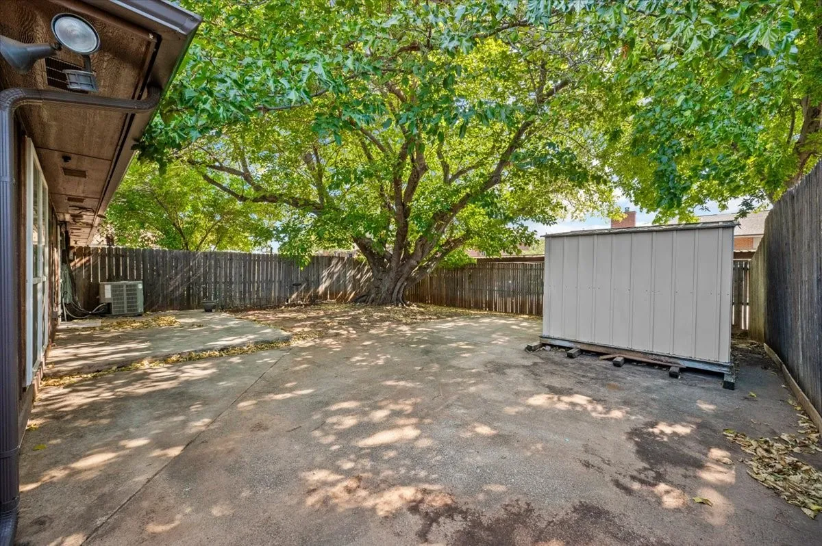 Backyard