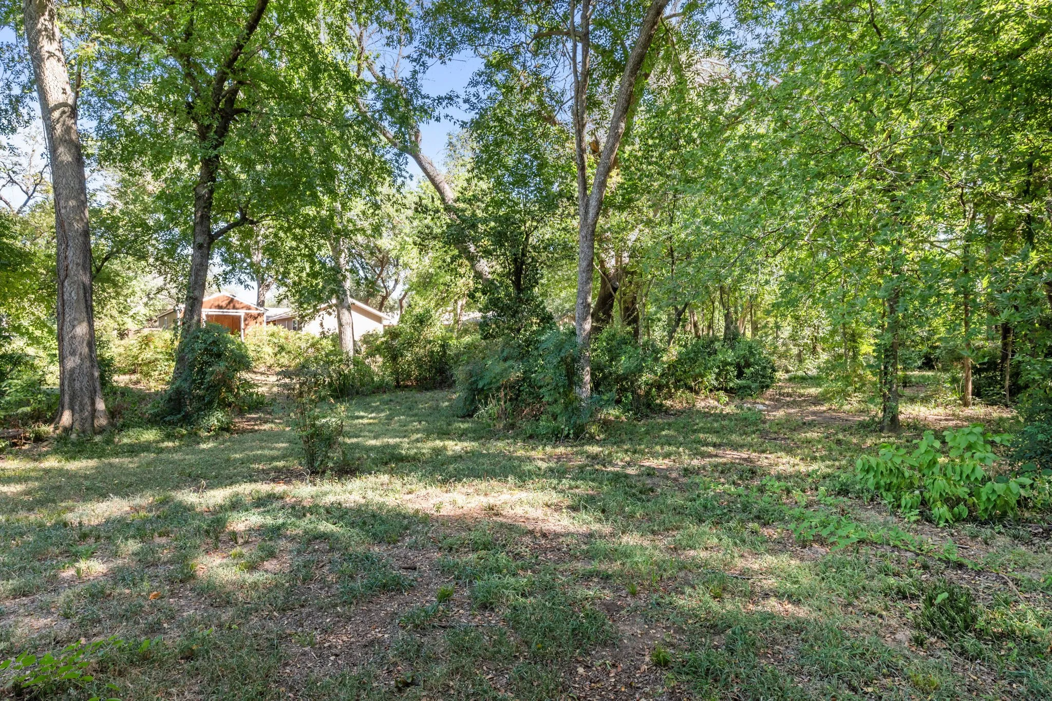 Expansive grounds with mature trees and natural landscaping