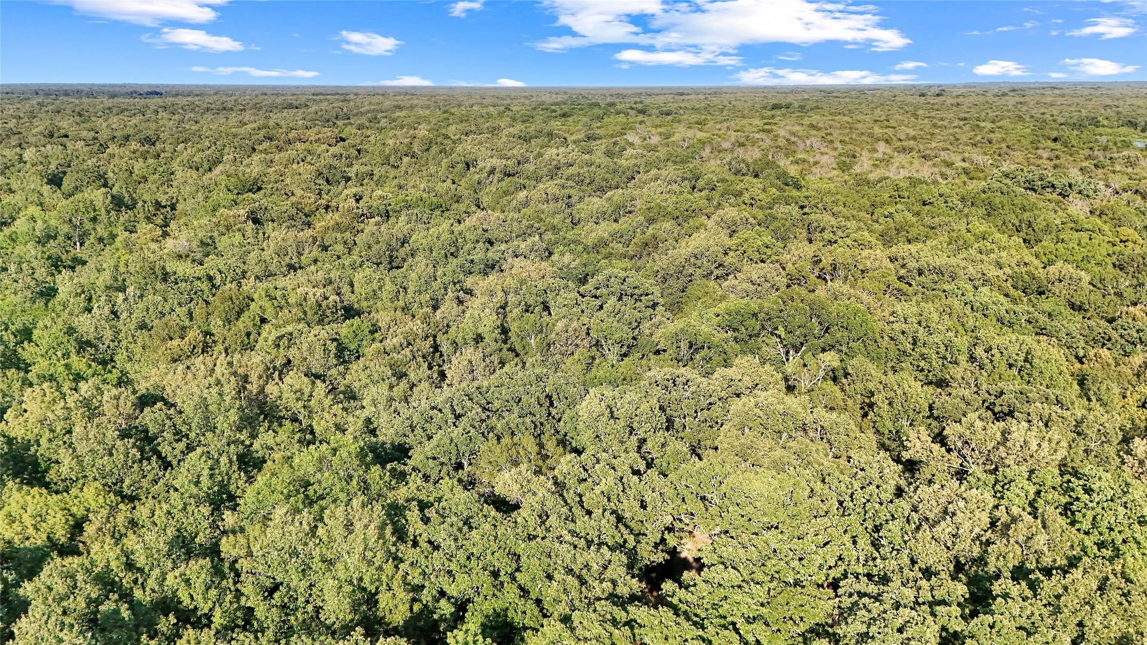 Unimproved Land For Sale in Red River (TX) County , TBD PR 5040 & 5041, Bogata, Texas 75417, 0, 0, Garage spaces, 0 Sqft, built in 0, mls#21360293, Real Estate Agent in Bogata, Homes For Sale in Red River (TX) county, Homes For Sale in Bogata, Realtor in Bogata Texas, Real Estate Brokerage Independent Realty Texas, Luminita Cordes Realtor