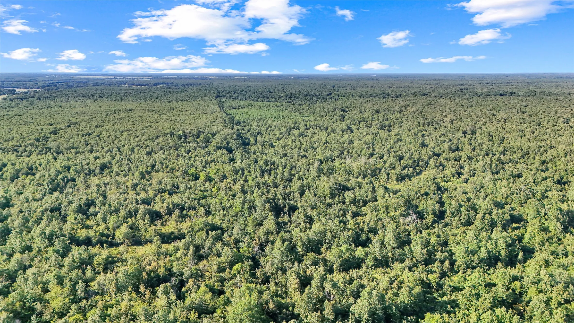 Expansive forested land featuring a varied tree canopy