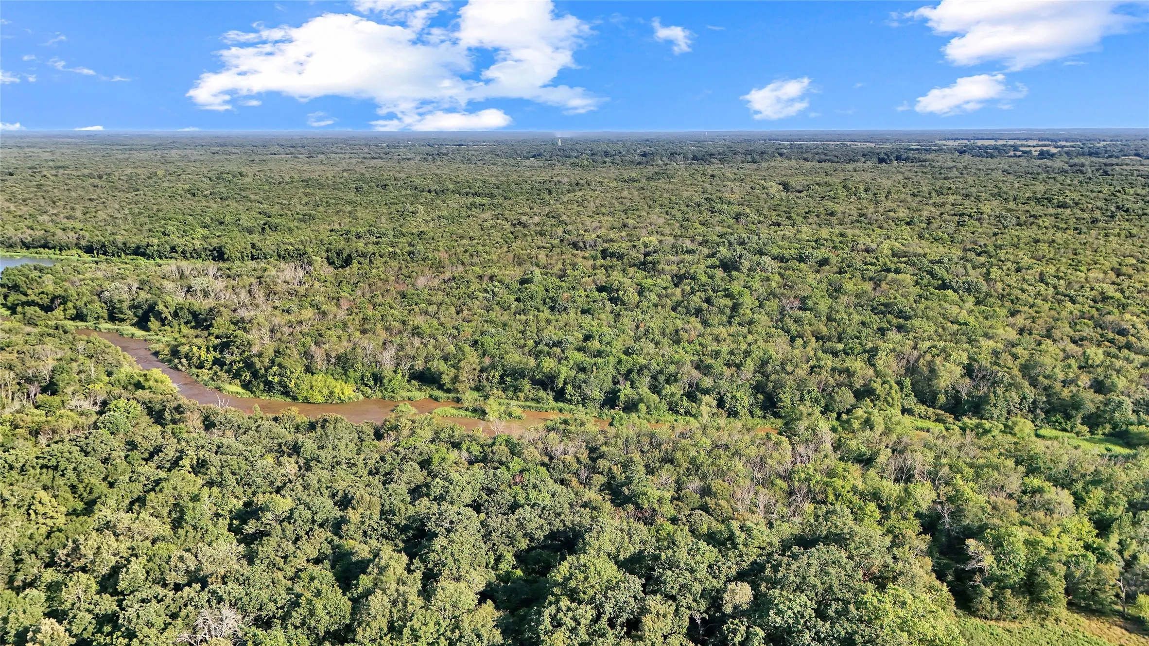 Expansive land featuring dense tree coverage and a meandering waterway