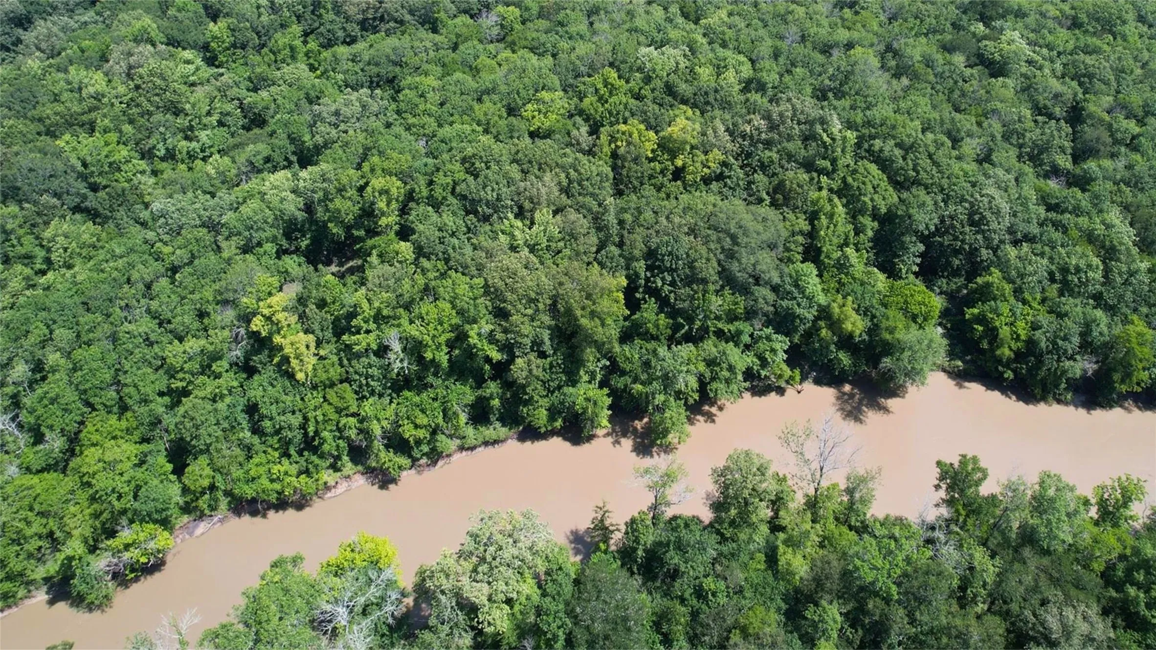 Extensive wooded area bordering a natural waterway