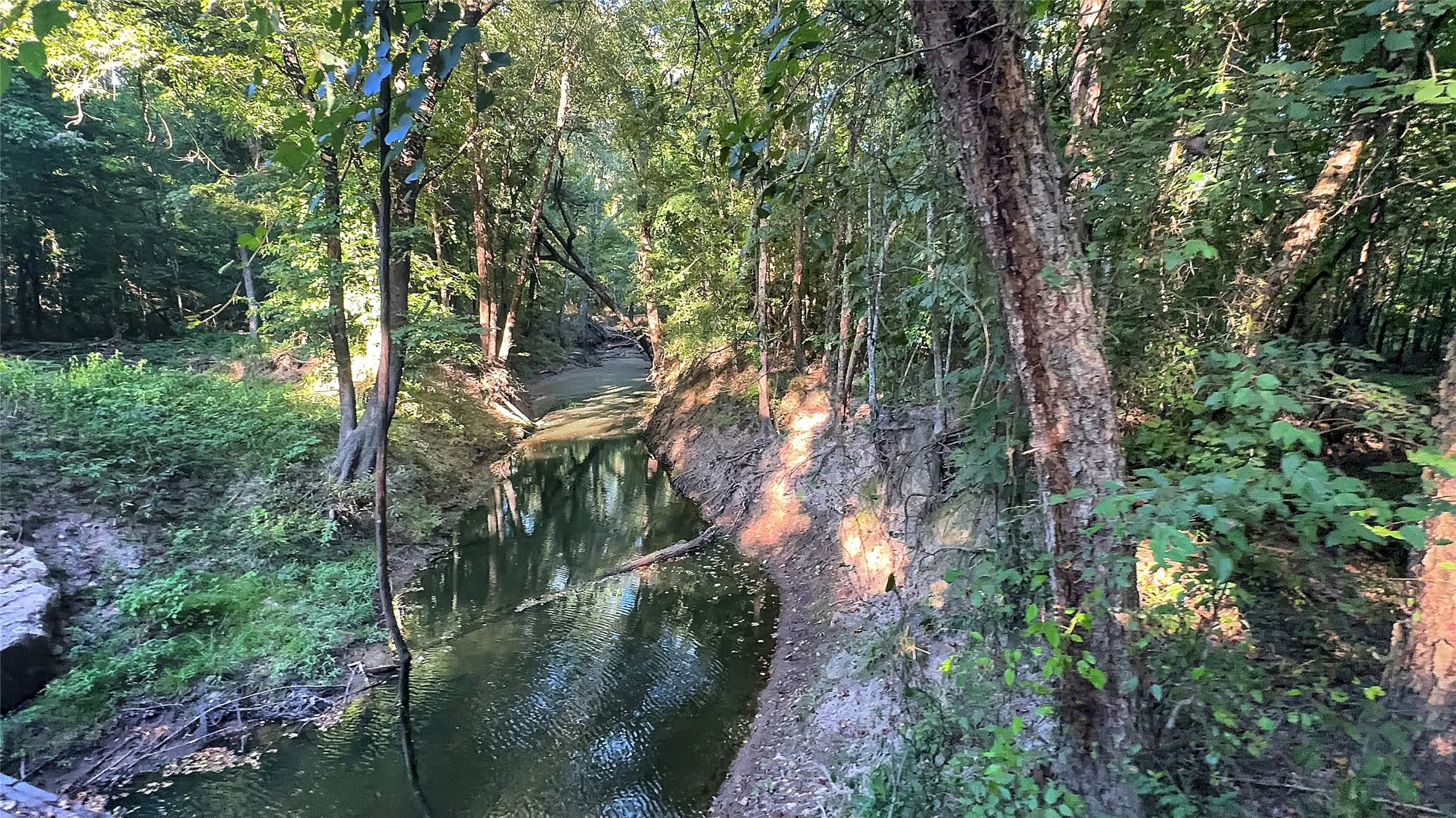 Unimproved Land For Sale in Red River (TX) County , TBD PR 5040 & 5041, Bogata, Texas 75417, 0, 0, Garage spaces, 0 Sqft, built in 0, mls#21360293, Real Estate Agent in Bogata, Homes For Sale in Red River (TX) county, Homes For Sale in Bogata, Realtor in Bogata Texas, Real Estate Brokerage Independent Realty Texas, Luminita Cordes Realtor