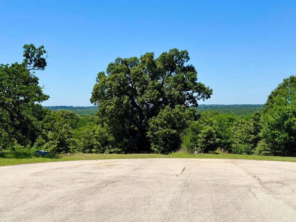 Unimproved Land For Sale in Henderson County , 261 HIGH POINT Court, Athens, Texas 75752, 0, 0, Garage spaces, 0 Sqft, built in 0, Price $49,500, mls#21360861, Real Estate Agent in Athens, Homes For Sale in Henderson county, Homes For Sale in Athens, Realtor in Athens Texas, Real Estate Brokerage Independent Realty Texas, Luminita Cordes Realtor