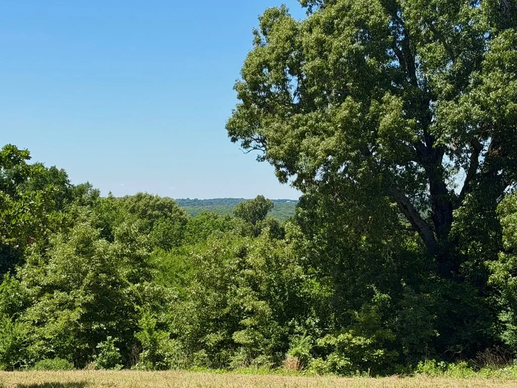 Unimproved Land For Sale in Henderson County , 261 HIGH POINT Court, Athens, Texas 75752, 0, 0, Garage spaces, 0 Sqft, built in 0, Price $49,500, mls#21360861, Real Estate Agent in Athens, Homes For Sale in Henderson county, Homes For Sale in Athens, Realtor in Athens Texas, Real Estate Brokerage Independent Realty Texas, Luminita Cordes Realtor