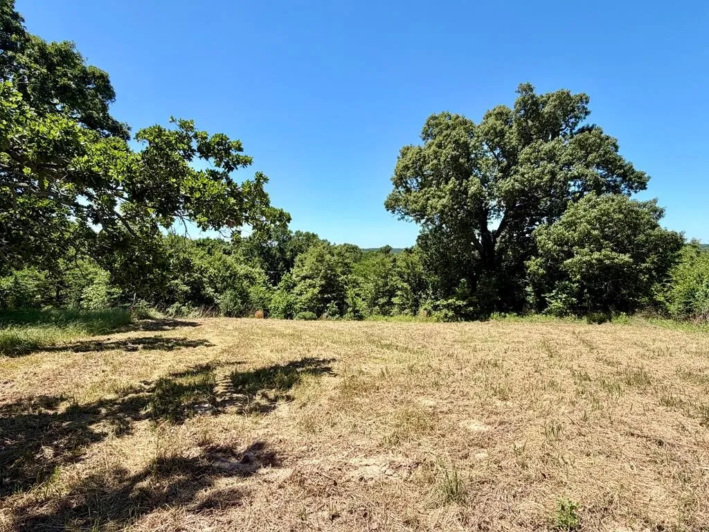 Unimproved Land For Sale in Henderson County , 261 HIGH POINT Court, Athens, Texas 75752, 0, 0, Garage spaces, 0 Sqft, built in 0, Price $49,500, mls#21360861, Real Estate Agent in Athens, Homes For Sale in Henderson county, Homes For Sale in Athens, Realtor in Athens Texas, Real Estate Brokerage Independent Realty Texas, Luminita Cordes Realtor