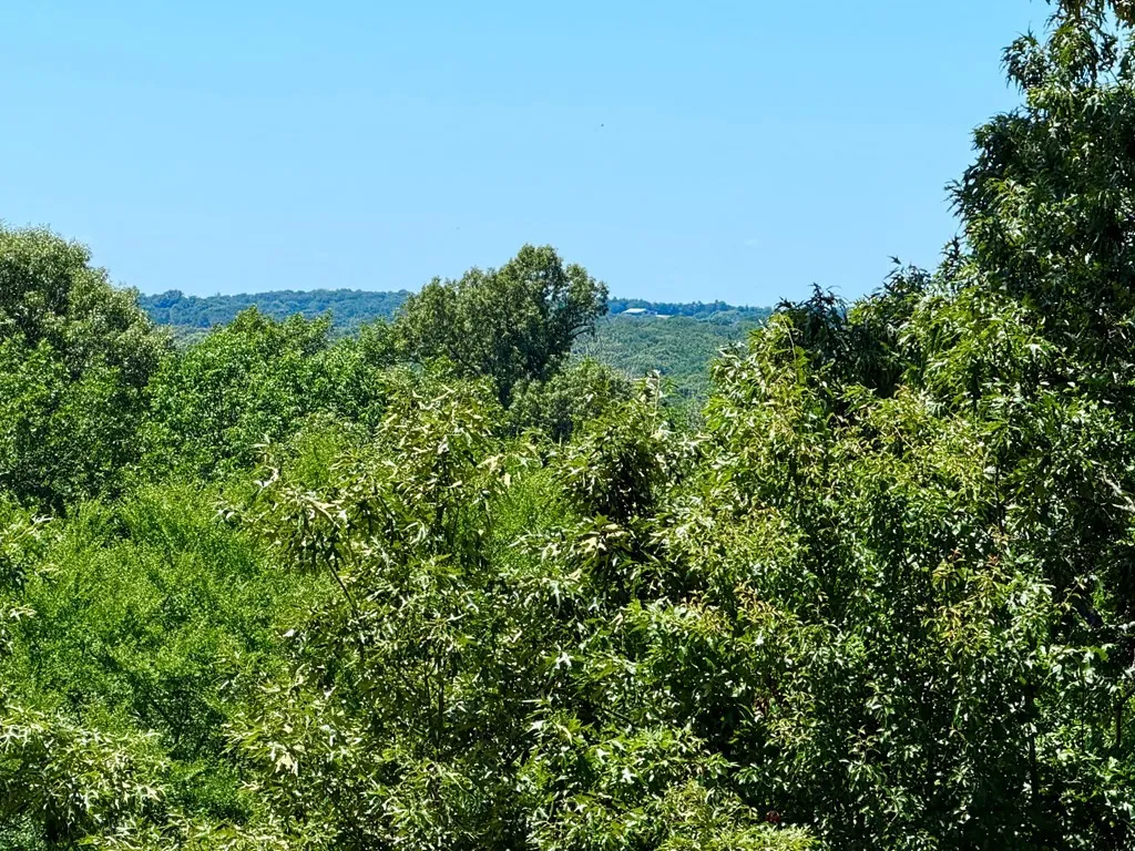 Unimproved Land For Sale in Henderson County , 261 HIGH POINT Court, Athens, Texas 75752, 0, 0, Garage spaces, 0 Sqft, built in 0, Price $49,500, mls#21360861, Real Estate Agent in Athens, Homes For Sale in Henderson county, Homes For Sale in Athens, Realtor in Athens Texas, Real Estate Brokerage Independent Realty Texas, Luminita Cordes Realtor