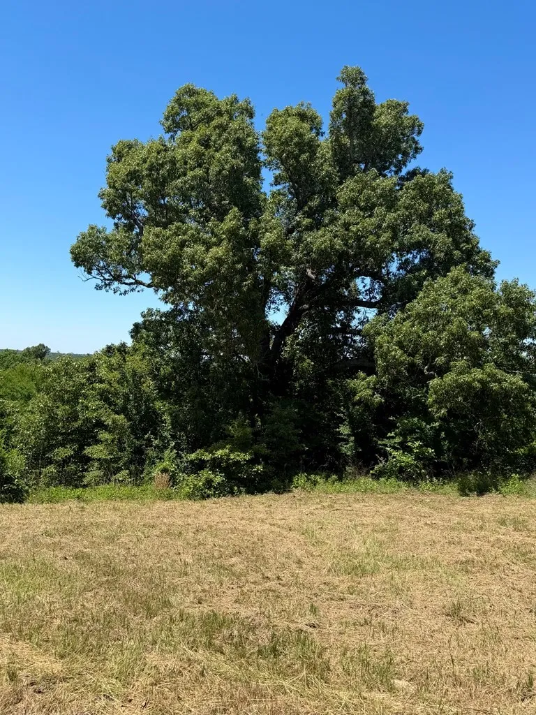 Unimproved Land For Sale in Henderson County , 261 HIGH POINT Court, Athens, Texas 75752, 0, 0, Garage spaces, 0 Sqft, built in 0, Price $49,500, mls#21360861, Real Estate Agent in Athens, Homes For Sale in Henderson county, Homes For Sale in Athens, Realtor in Athens Texas, Real Estate Brokerage Independent Realty Texas, Luminita Cordes Realtor