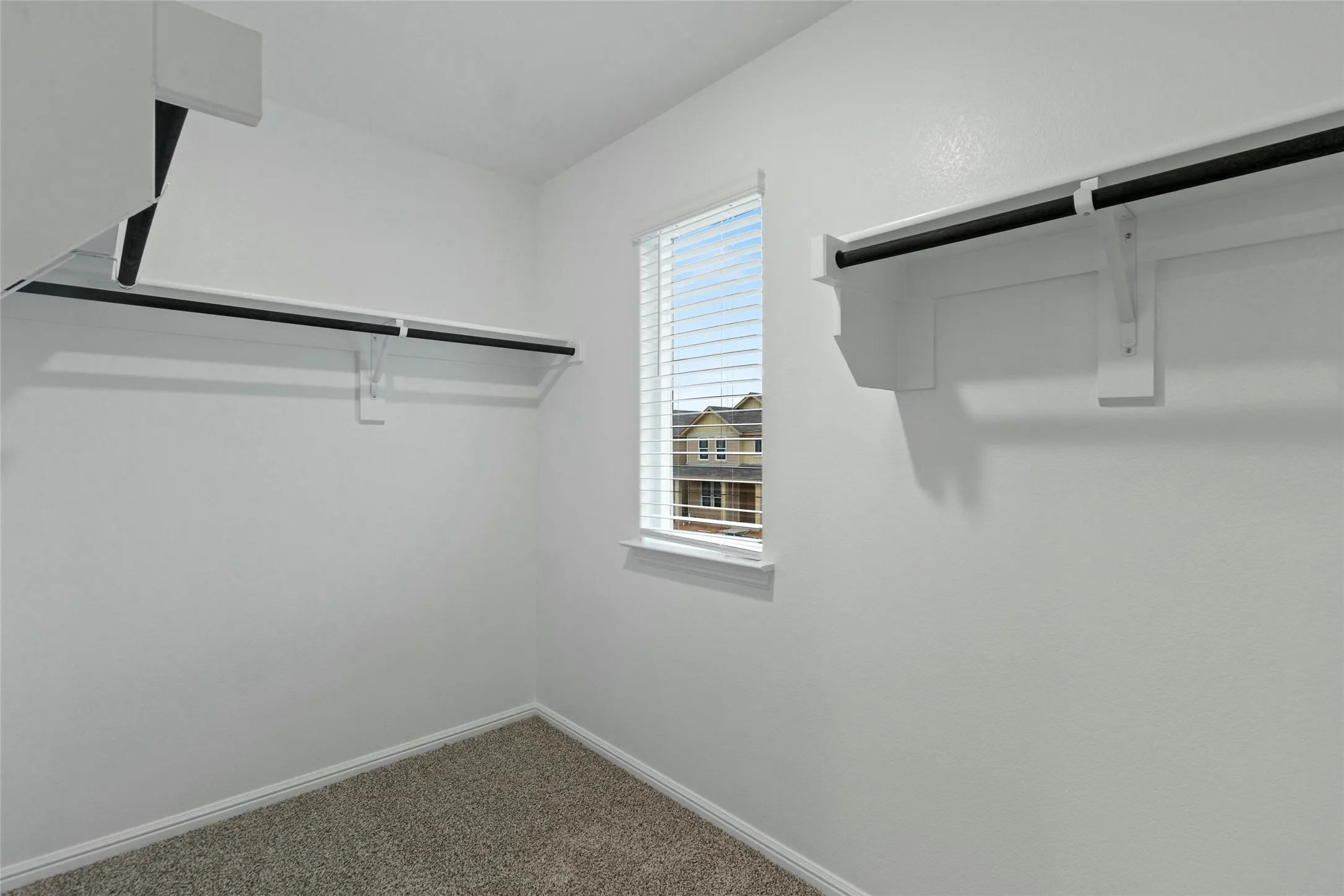 Spacious closet featuring carpet flooring