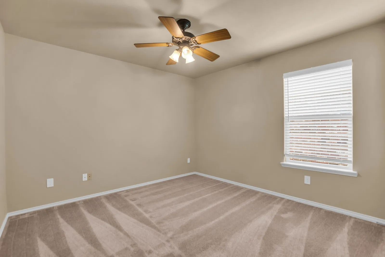 Fresh paint and brand new carpet in secondary bedroom.