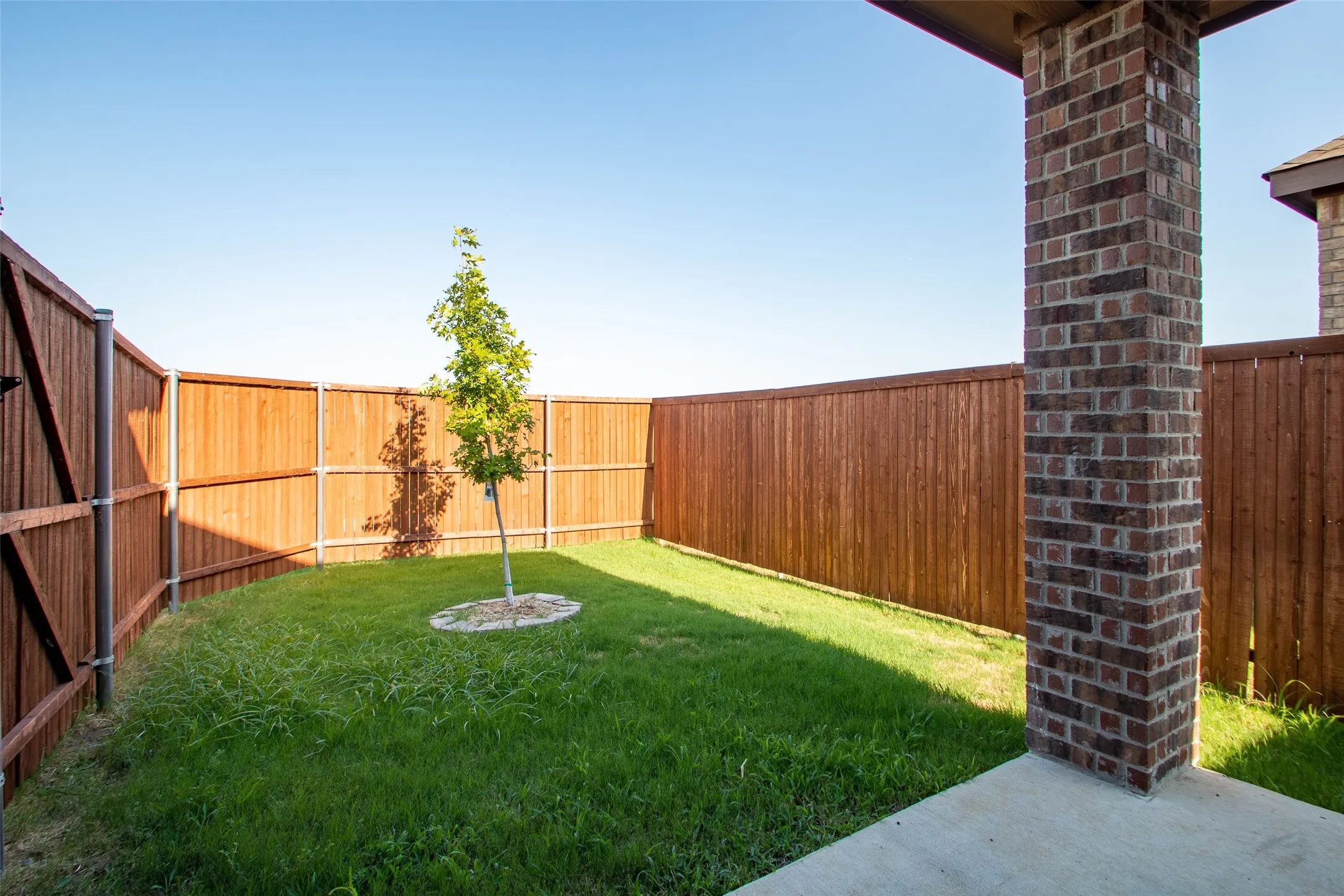 Private backyard with wood fencing, a young tree, and a concrete patio