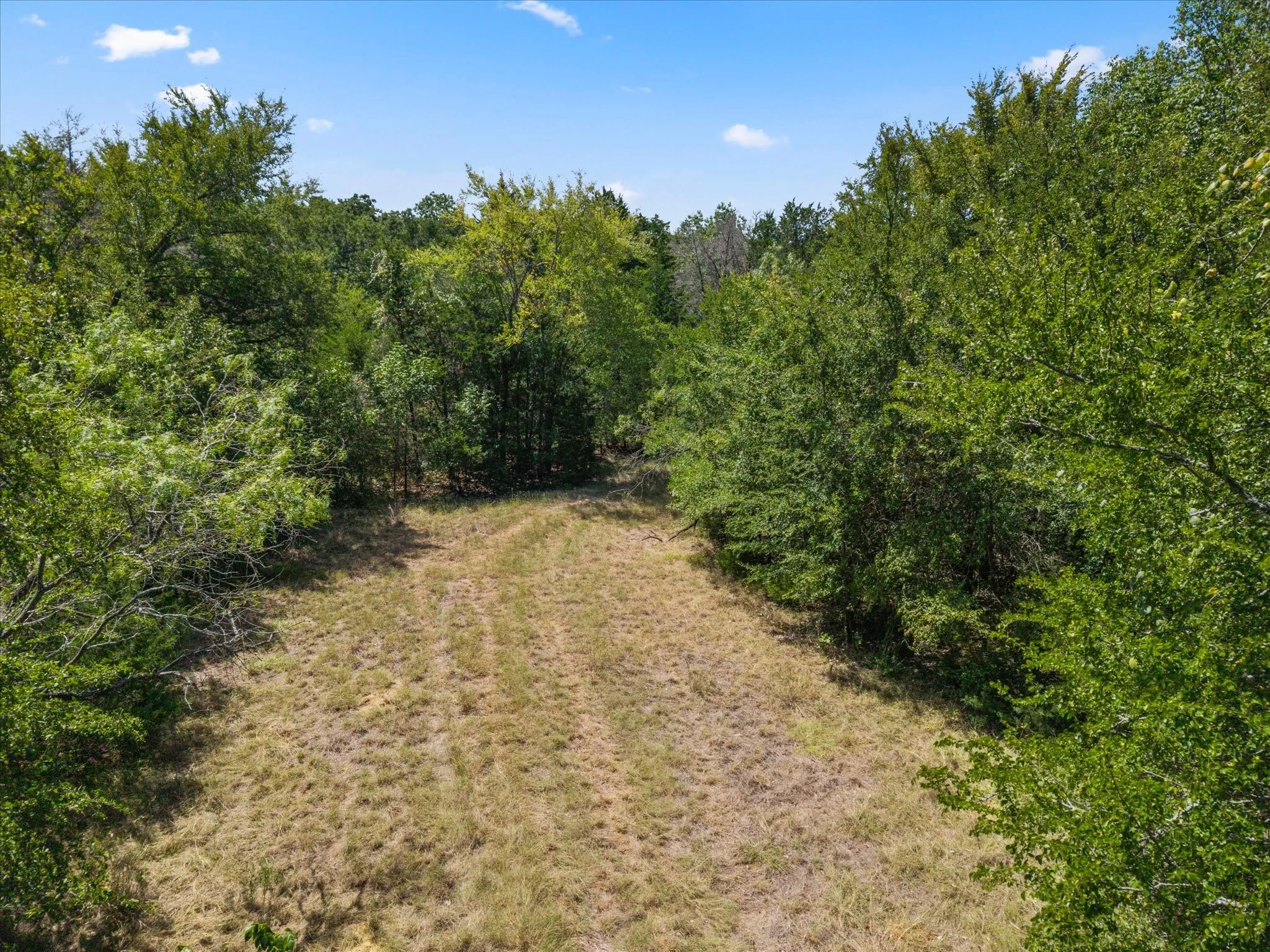 Improved Land For Sale in Navarro County , 16977 SE County Road 2370, Streetman, Texas 75859, 0, 0, Garage spaces, 0 Sqft, built in 1998, mls#21360884, Real Estate Agent in Streetman, Homes For Sale in Navarro county, Homes For Sale in Streetman, Realtor in Streetman Texas, Real Estate Brokerage Independent Realty Texas, Luminita Cordes Realtor
