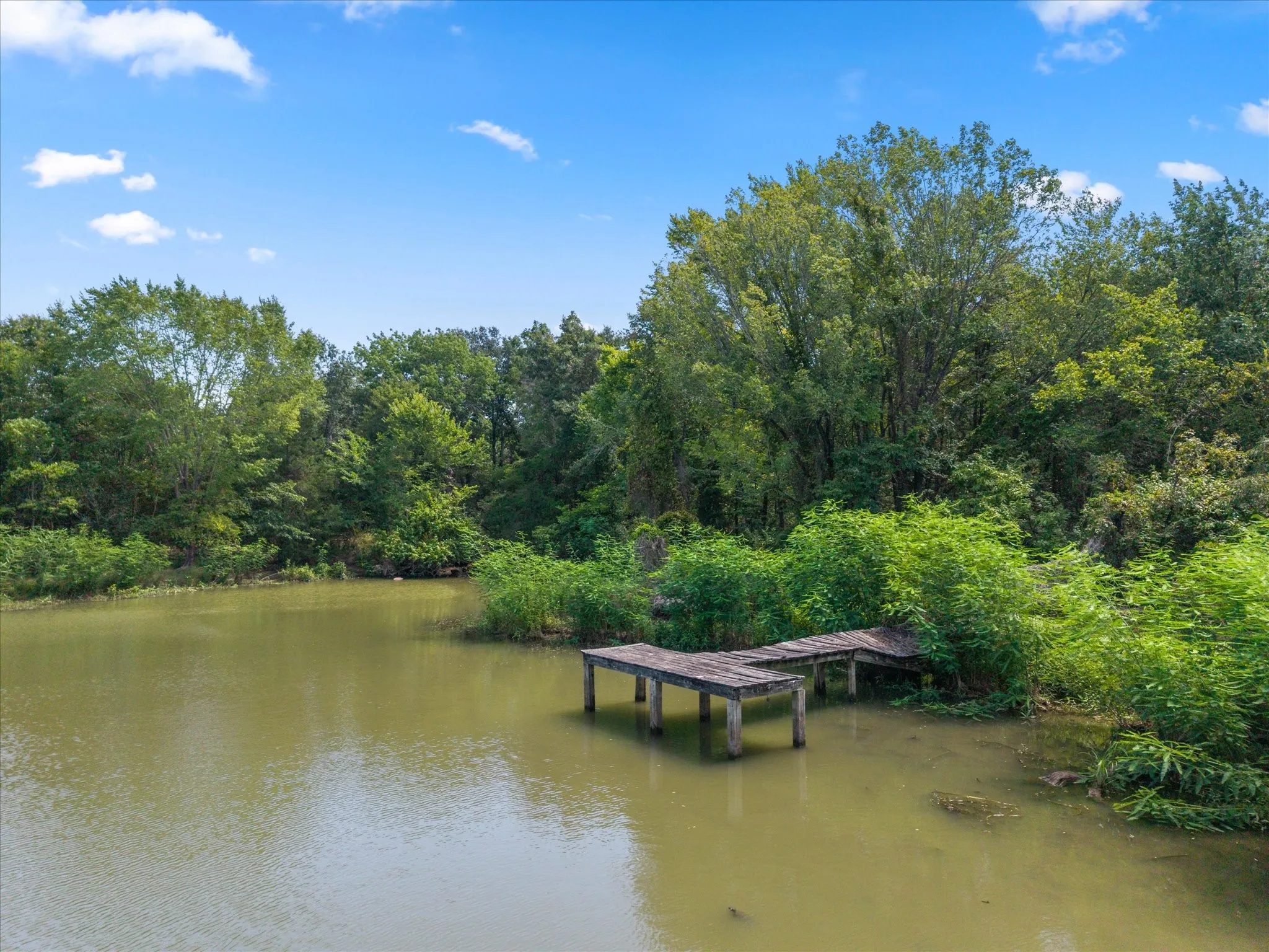 Improved Land For Sale in Navarro County , 16977 SE County Road 2370, Streetman, Texas 75859, 0, 0, Garage spaces, 0 Sqft, built in 1998, mls#21360884, Real Estate Agent in Streetman, Homes For Sale in Navarro county, Homes For Sale in Streetman, Realtor in Streetman Texas, Real Estate Brokerage Independent Realty Texas, Luminita Cordes Realtor