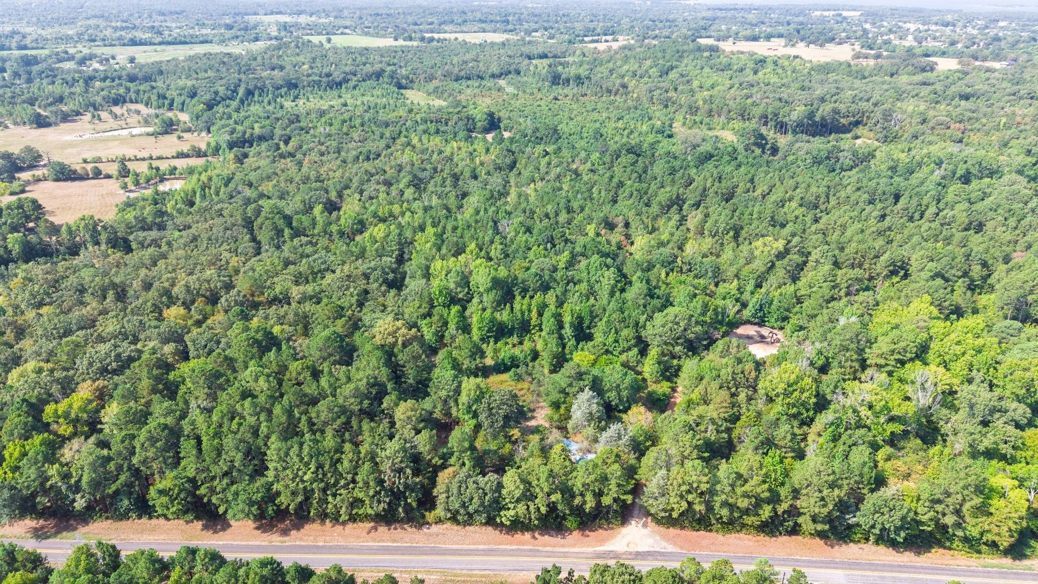 Unimproved Land For Sale in Wood County , TBD Fm 2225, Quitman, Texas 75783, 0, 0, Garage spaces, 0 Sqft, built in 0, Price $168,000, mls#21360955, Real Estate Agent in Quitman, Homes For Sale in Wood county, Homes For Sale in Quitman, Realtor in Quitman Texas, Real Estate Brokerage Independent Realty Texas, Luminita Cordes Realtor