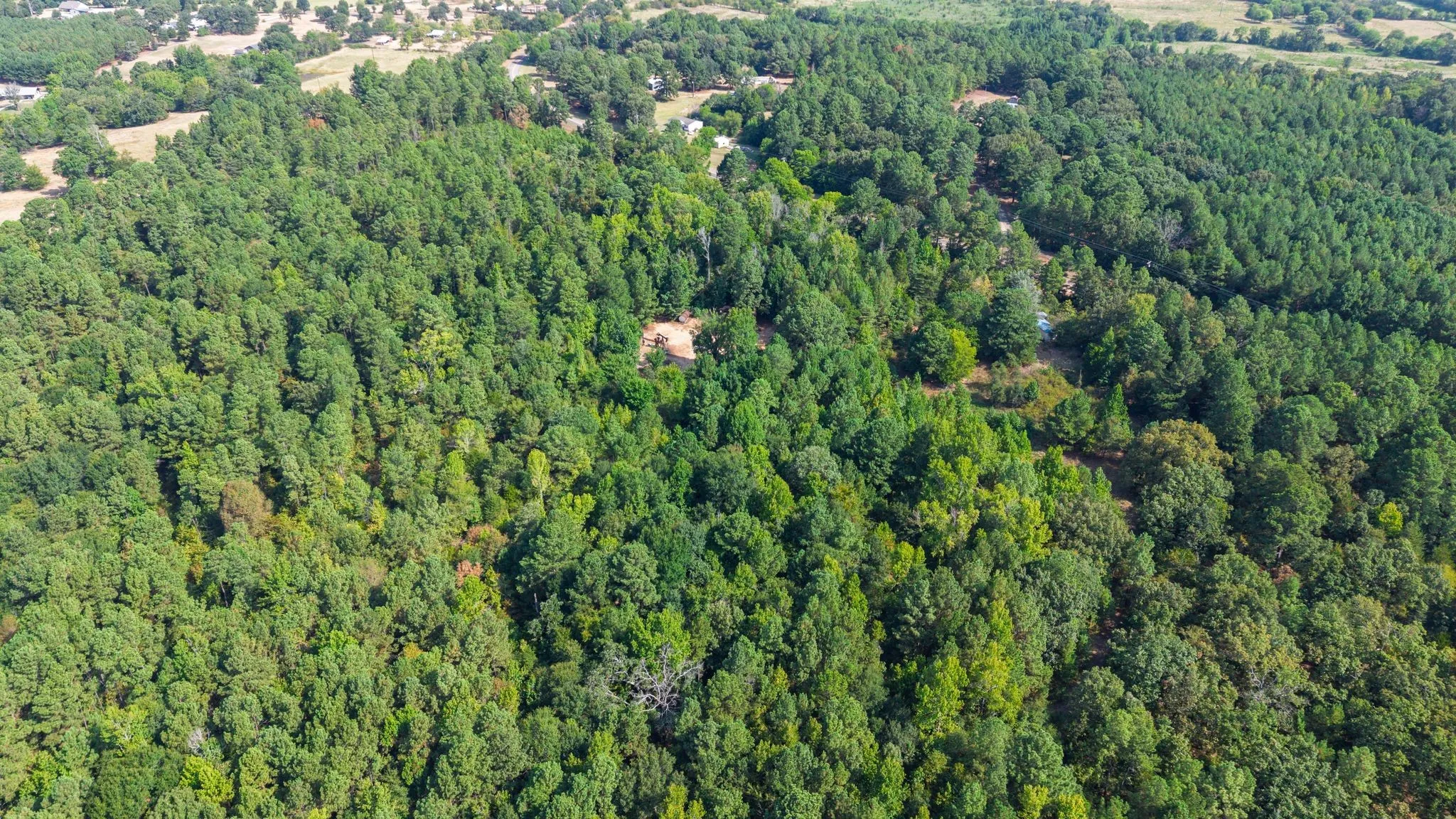 Unimproved Land For Sale in Wood County , TBD Fm 2225, Quitman, Texas 75783, 0, 0, Garage spaces, 0 Sqft, built in 0, Price $168,000, mls#21360955, Real Estate Agent in Quitman, Homes For Sale in Wood county, Homes For Sale in Quitman, Realtor in Quitman Texas, Real Estate Brokerage Independent Realty Texas, Luminita Cordes Realtor