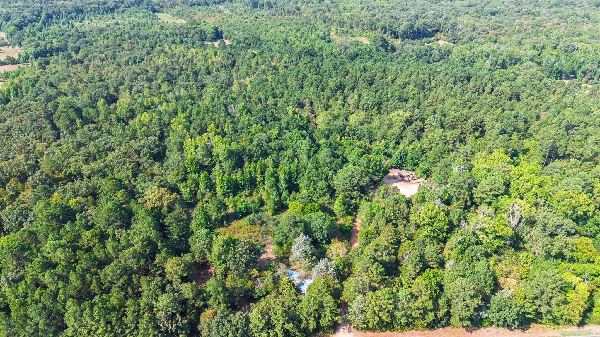 Unimproved Land For Sale in Wood County , TBD Fm 2225, Quitman, Texas 75783, 0, 0, Garage spaces, 0 Sqft, built in 0, Price $168,000, mls#21360955, Real Estate Agent in Quitman, Homes For Sale in Wood county, Homes For Sale in Quitman, Realtor in Quitman Texas, Real Estate Brokerage Independent Realty Texas, Luminita Cordes Realtor