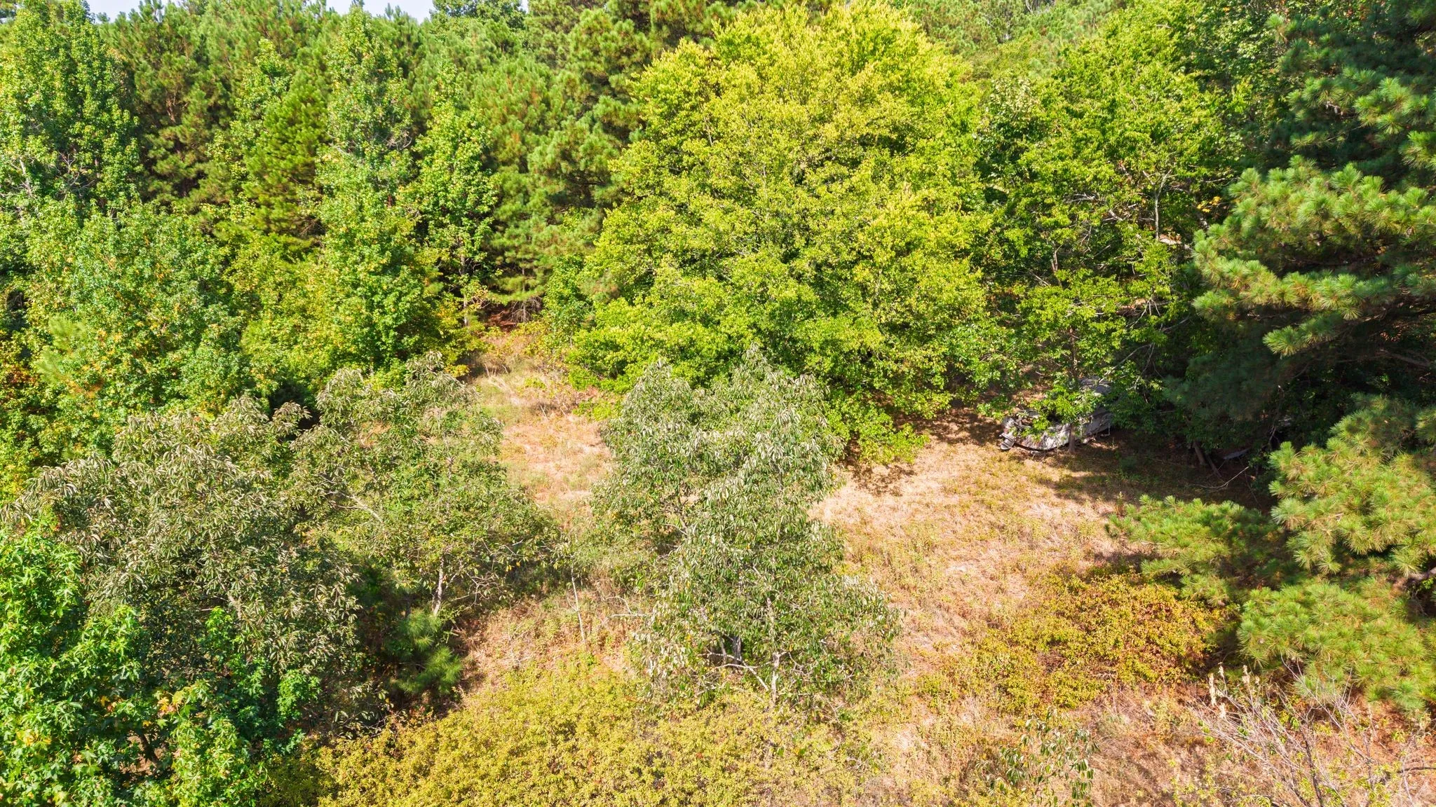 Unimproved Land For Sale in Wood County , TBD Fm 2225, Quitman, Texas 75783, 0, 0, Garage spaces, 0 Sqft, built in 0, Price $168,000, mls#21360955, Real Estate Agent in Quitman, Homes For Sale in Wood county, Homes For Sale in Quitman, Realtor in Quitman Texas, Real Estate Brokerage Independent Realty Texas, Luminita Cordes Realtor