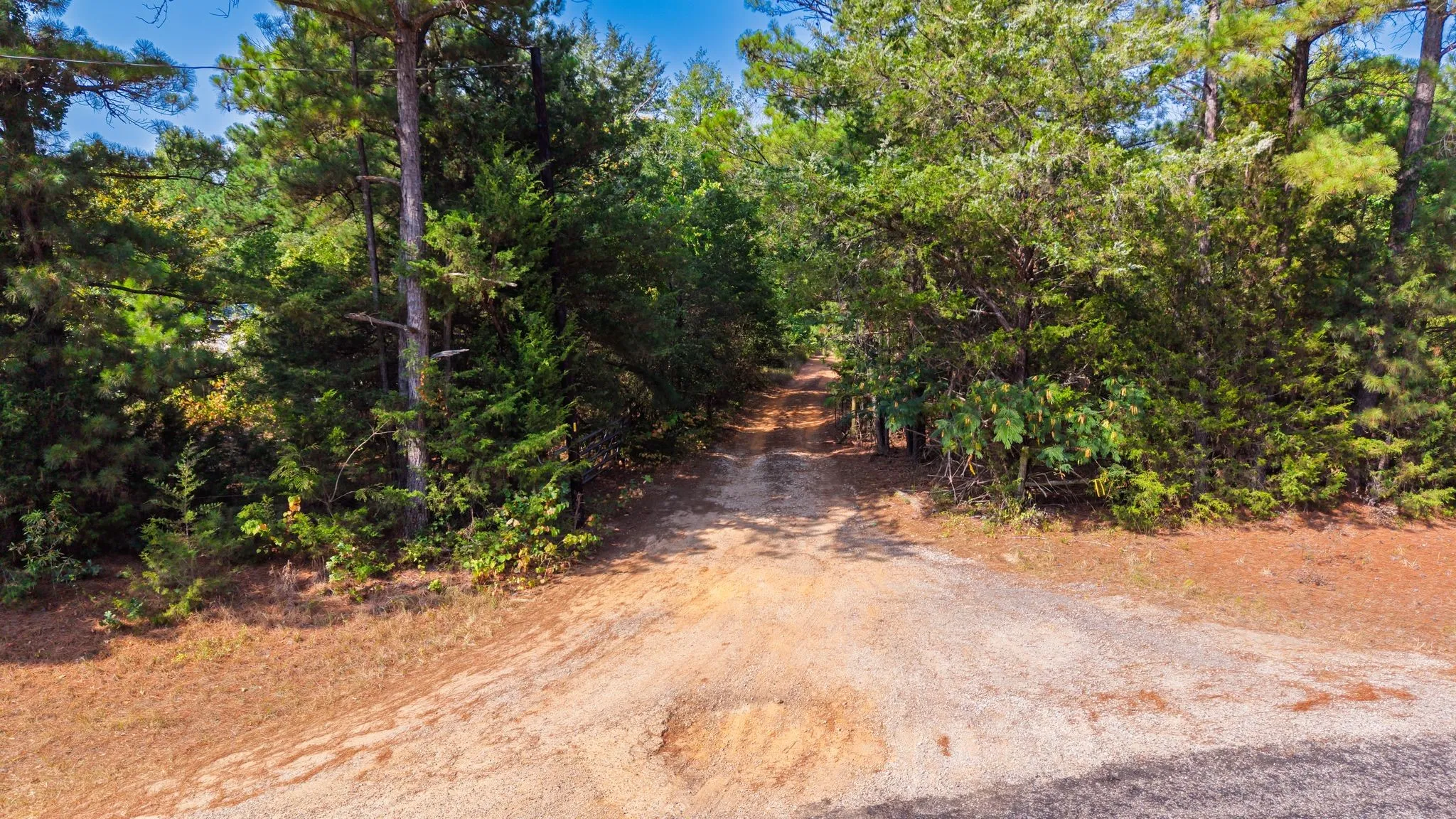 Unimproved Land For Sale in Wood County , TBD Fm 2225, Quitman, Texas 75783, 0, 0, Garage spaces, 0 Sqft, built in 0, Price $168,000, mls#21360955, Real Estate Agent in Quitman, Homes For Sale in Wood county, Homes For Sale in Quitman, Realtor in Quitman Texas, Real Estate Brokerage Independent Realty Texas, Luminita Cordes Realtor