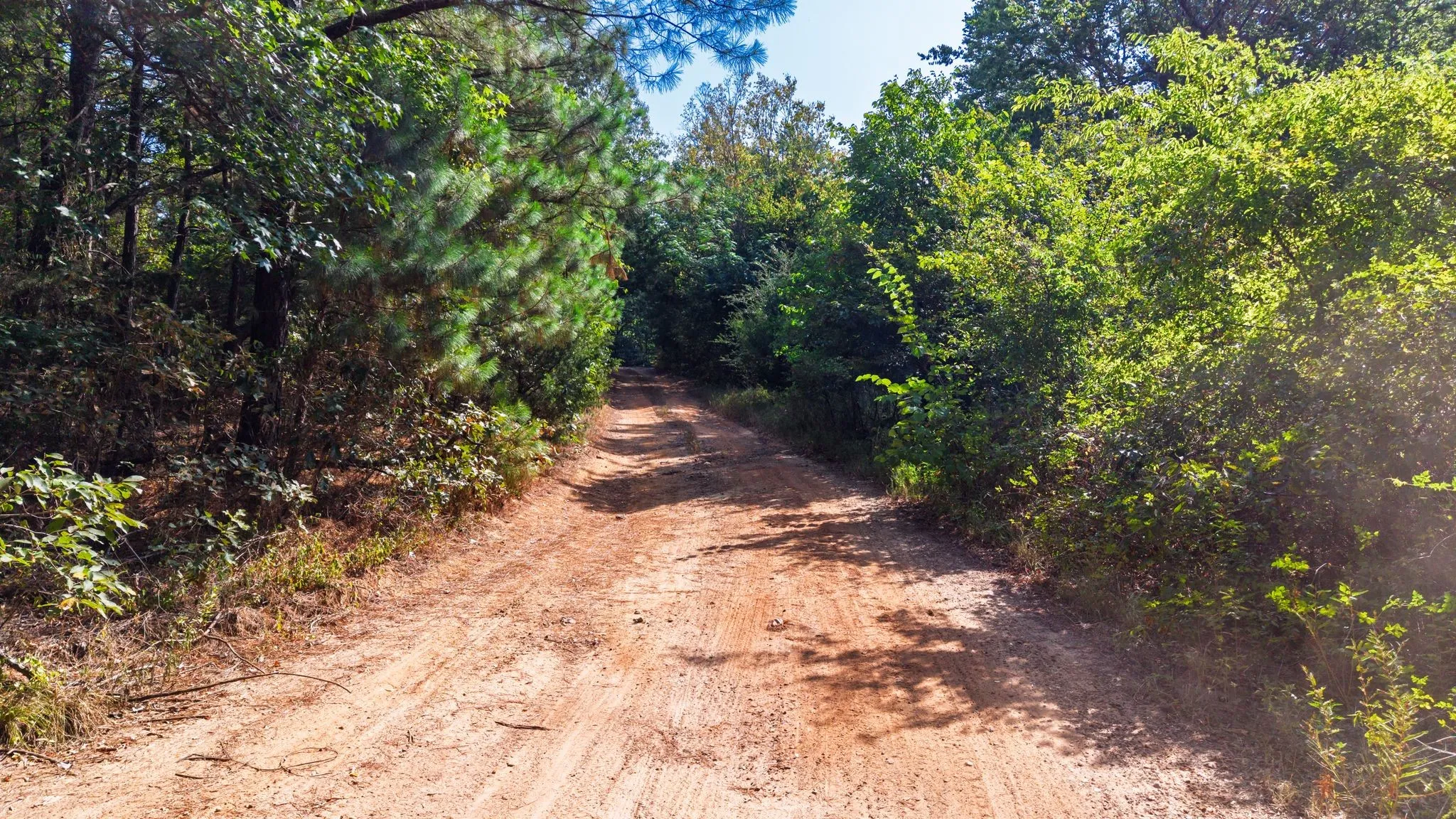 Unimproved Land For Sale in Wood County , TBD Fm 2225, Quitman, Texas 75783, 0, 0, Garage spaces, 0 Sqft, built in 0, Price $168,000, mls#21360955, Real Estate Agent in Quitman, Homes For Sale in Wood county, Homes For Sale in Quitman, Realtor in Quitman Texas, Real Estate Brokerage Independent Realty Texas, Luminita Cordes Realtor