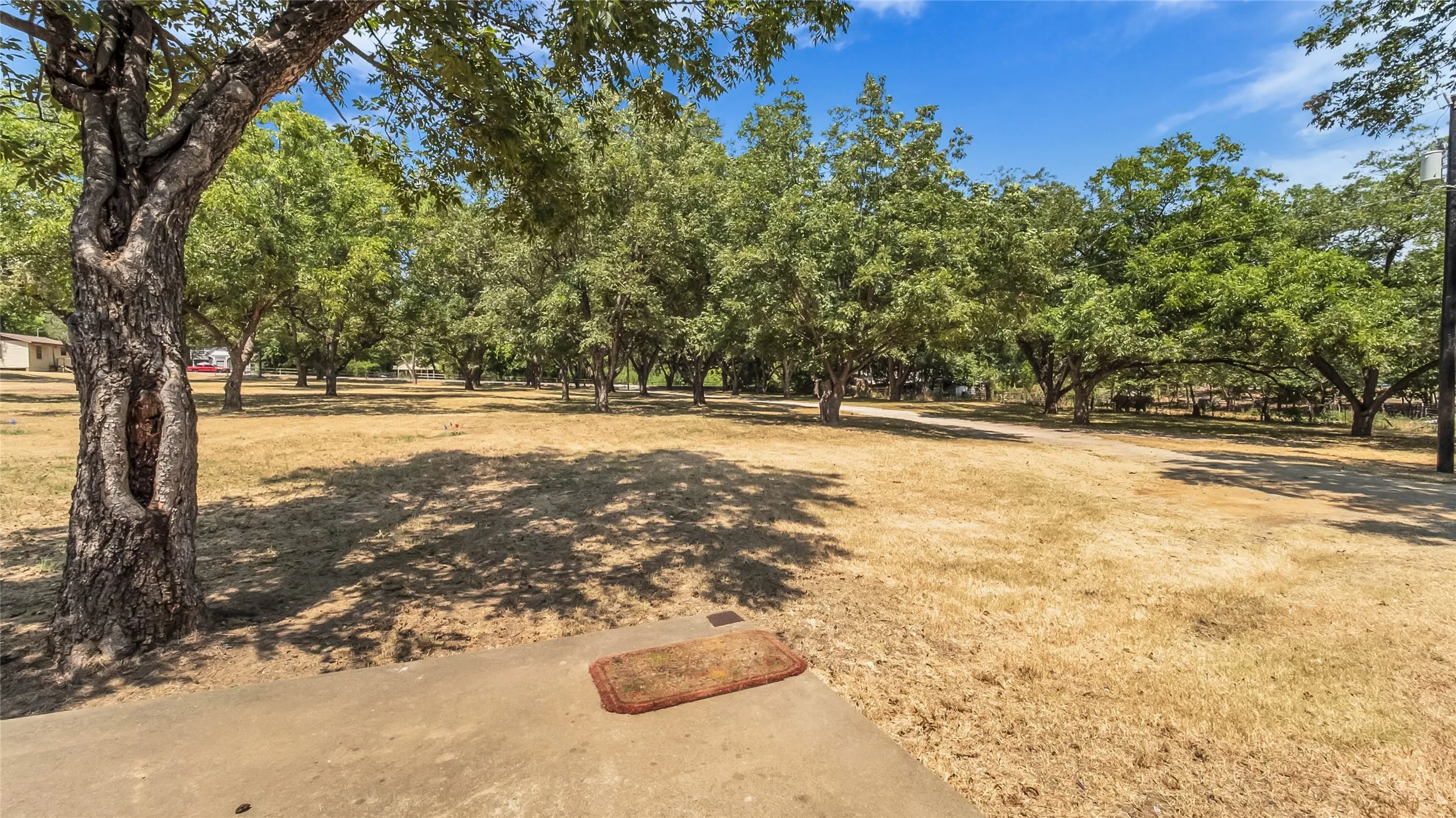 Expansive outdoor space featuring mature trees and a concrete pad