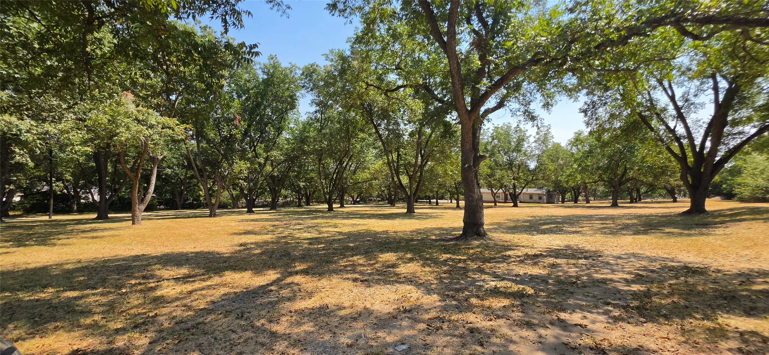 Mobile Home For Sale in Grayson County , 1210 E Texas Street, Denison, Texas 75021, 4 Bedroom, 3 Bathroom, Garage spaces, 1,923 Sqft, built in 1980, mls#21360969, Real Estate Agent in Denison, Homes For Sale in Grayson county, Homes For Sale in Denison, Realtor in Denison Texas, Real Estate Brokerage Independent Realty Texas, Luminita Cordes Realtor