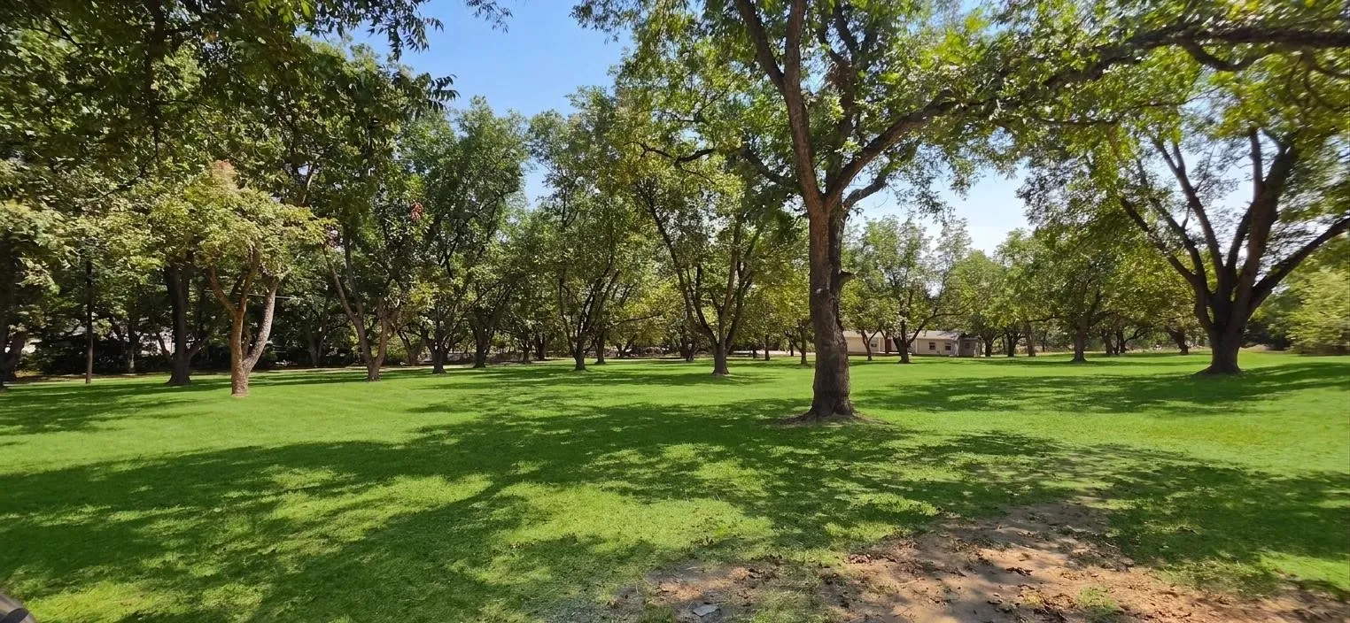 Expansive outdoor space featuring a manicured lawn and numerous mature trees