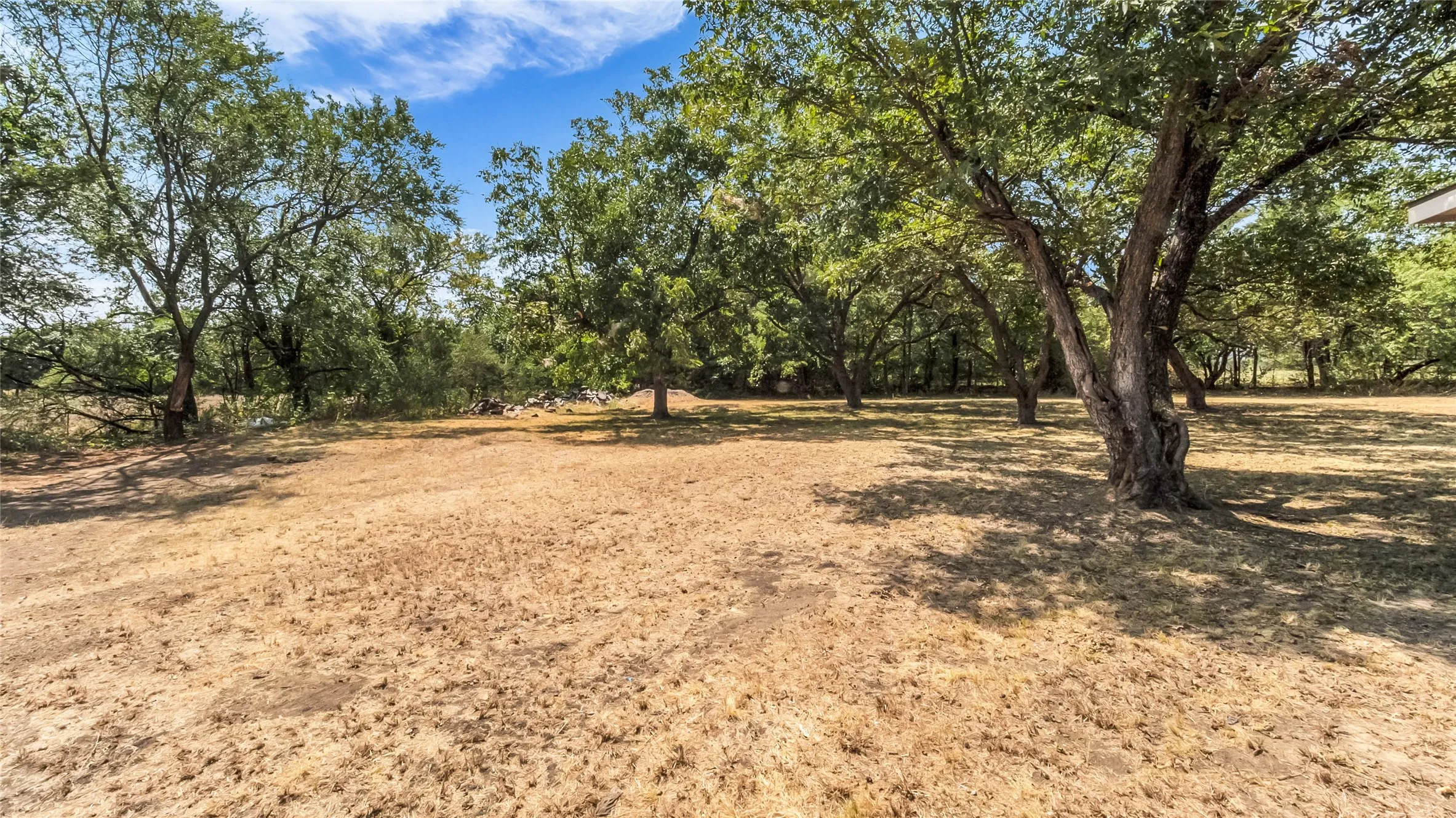Expansive outdoor area featuring mature trees and a clear expanse of ground