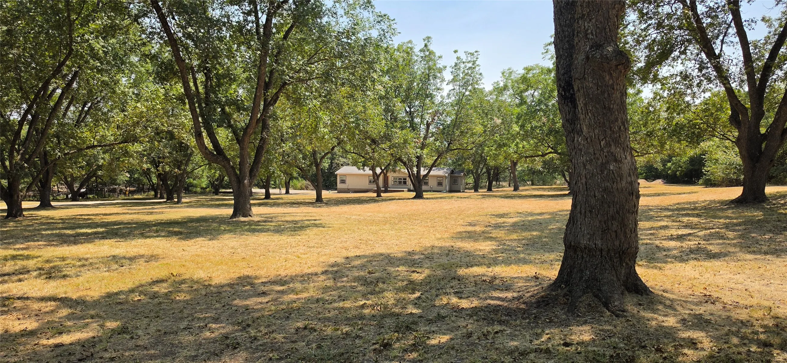 Expansive exterior featuring a broad lawn, numerous mature trees, and a distant single-story structure