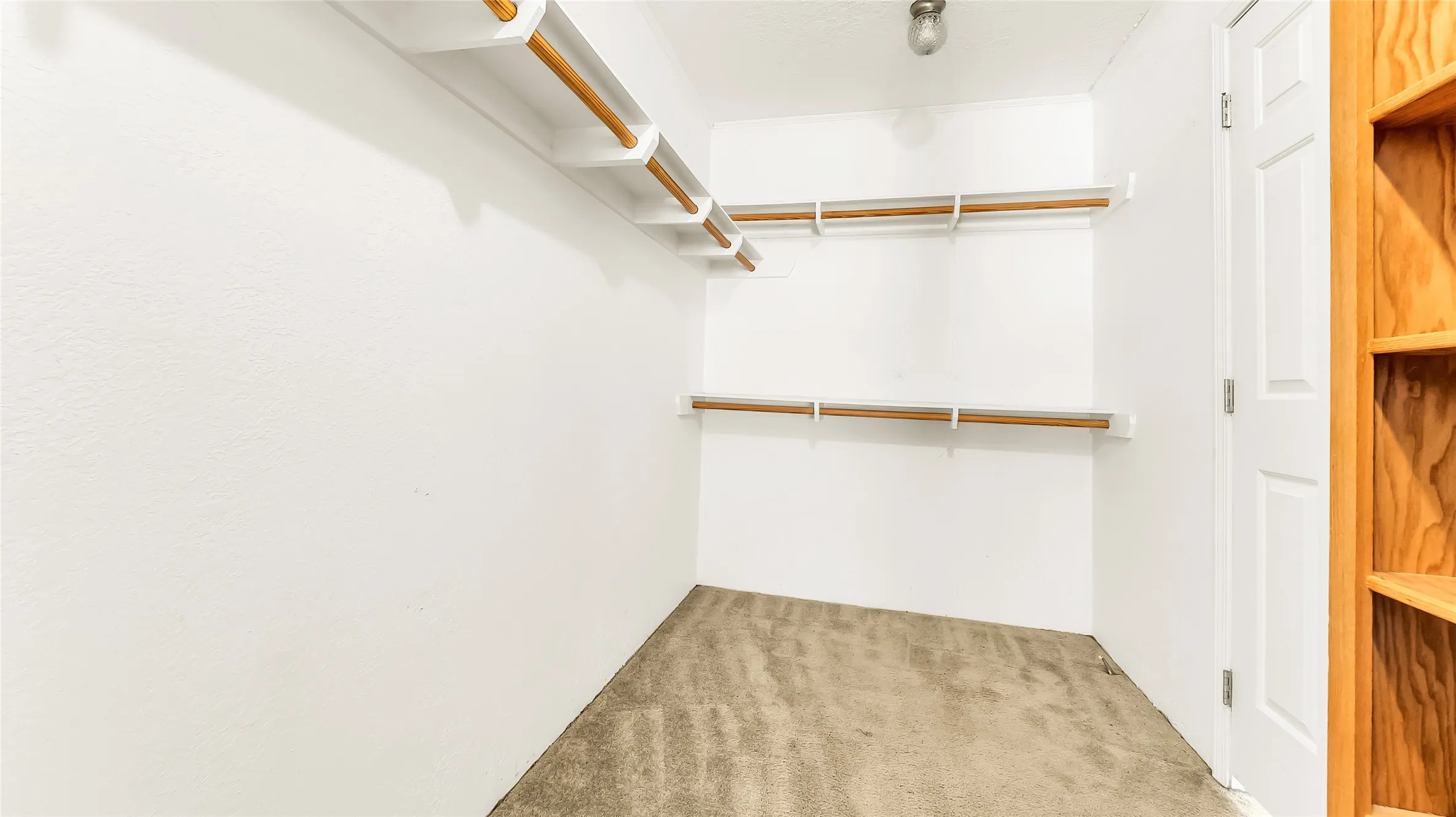 Spacious walk-in closet with carpet flooring, multiple shelving units, and hanging rods