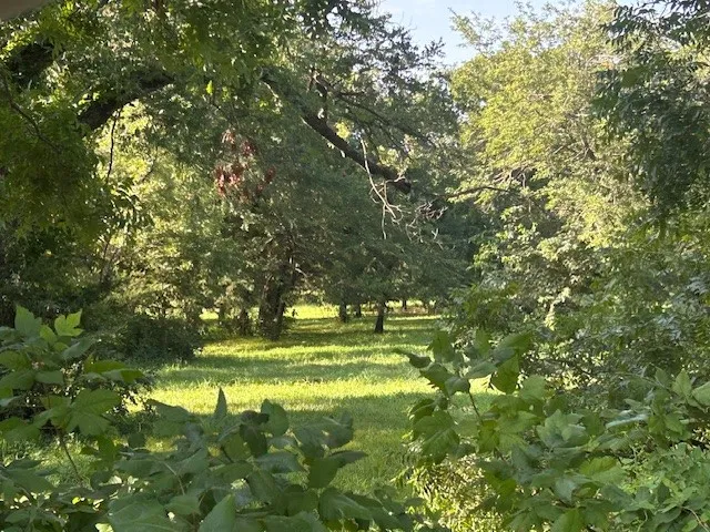 Expansive green space featuring mature trees and natural landscaping