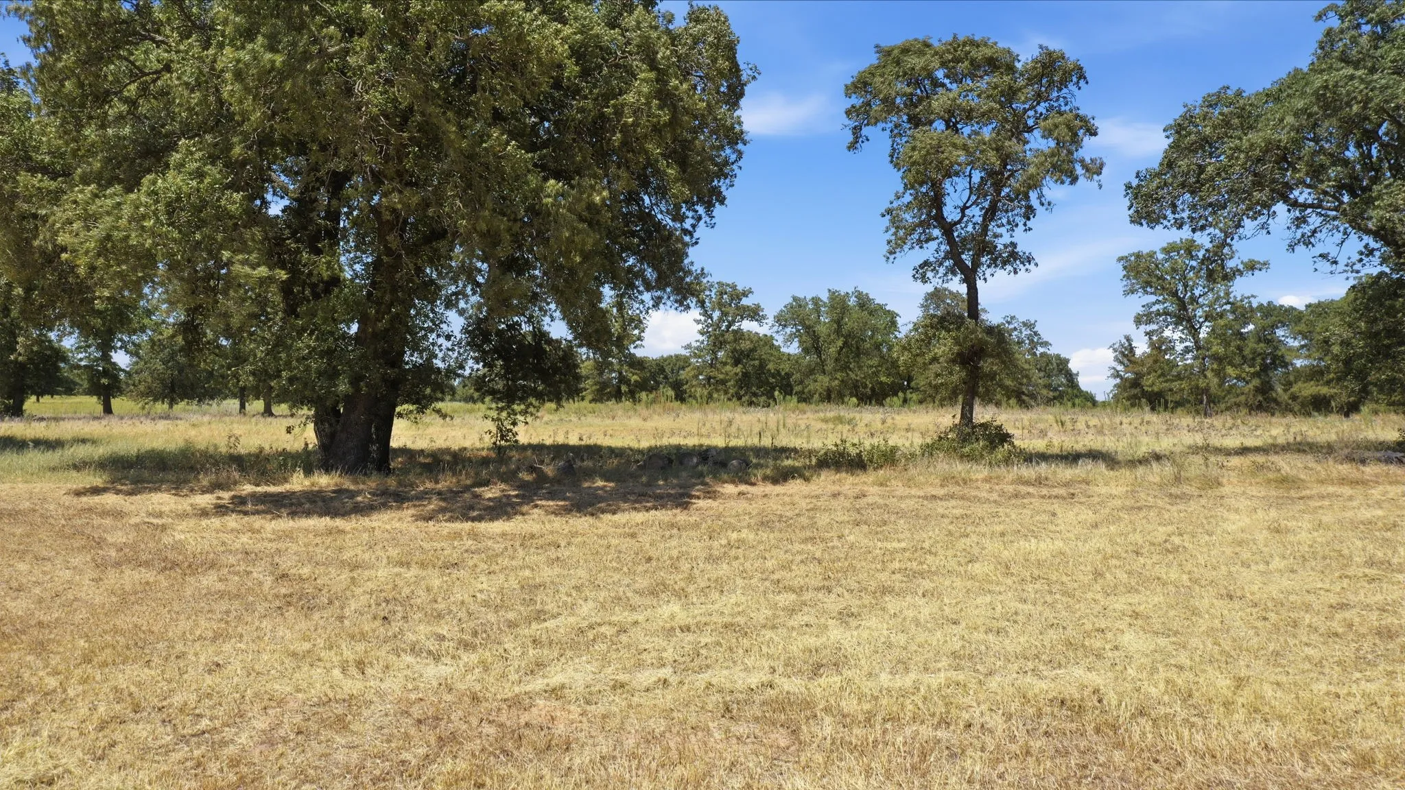 Improved Land For Sale in Comanche County , 374 CR 475, De Leon, Texas 76444, 0, 0, Garage spaces, 0 Sqft, built in 0, mls#21360951, Real Estate Agent in De Leon, Homes For Sale in Comanche county, Homes For Sale in De Leon, Realtor in De Leon Texas, Real Estate Brokerage Independent Realty Texas, Luminita Cordes Realtor