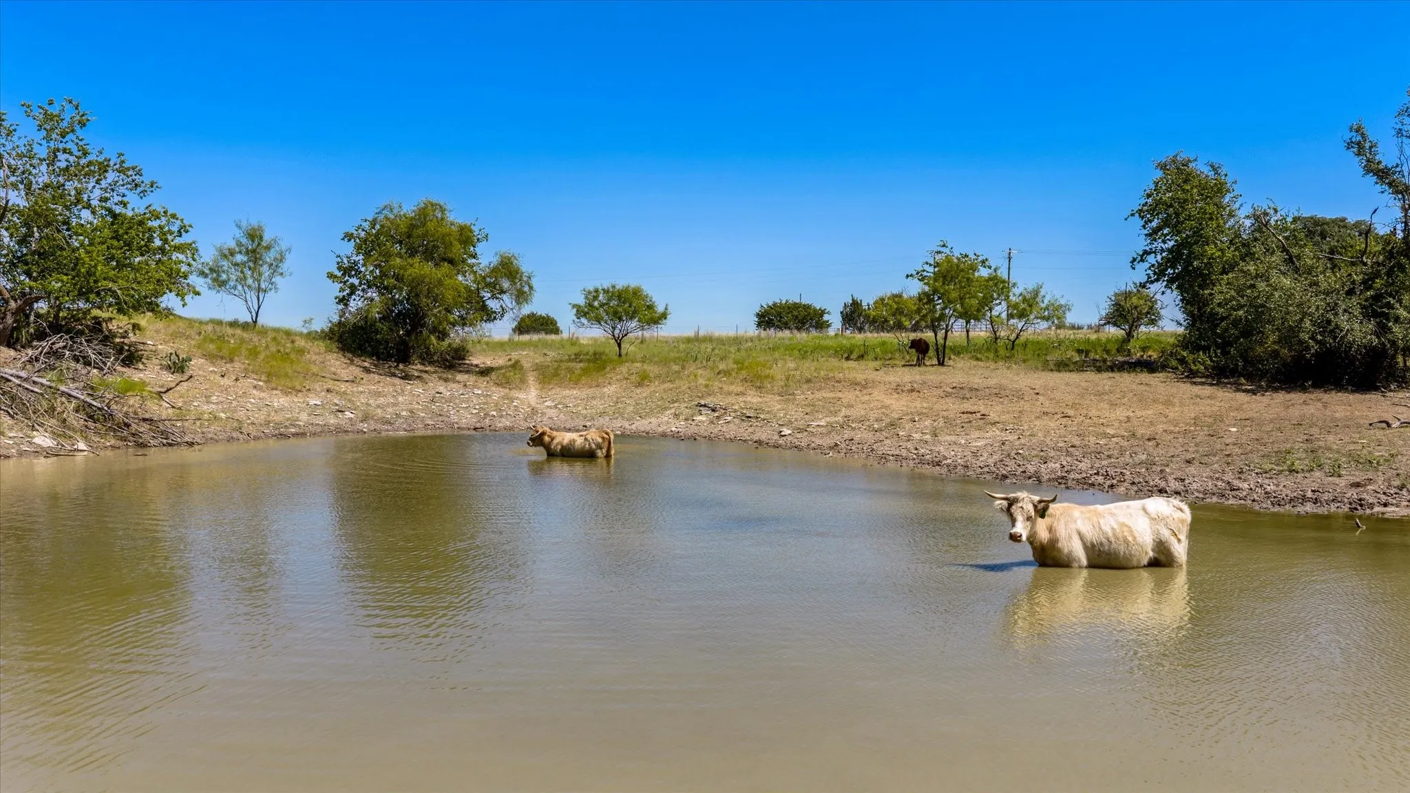 Unimproved Land For Sale in Erath County , 3575 County Road 522, Stephenville, Texas 76401, 0, 0, Garage spaces, 0 Sqft, built in 0, Price $615,000, mls#21361025, Real Estate Agent in Stephenville, Homes For Sale in Erath county, Homes For Sale in Stephenville, Realtor in Stephenville Texas, Real Estate Brokerage Independent Realty Texas, Luminita Cordes Realtor
