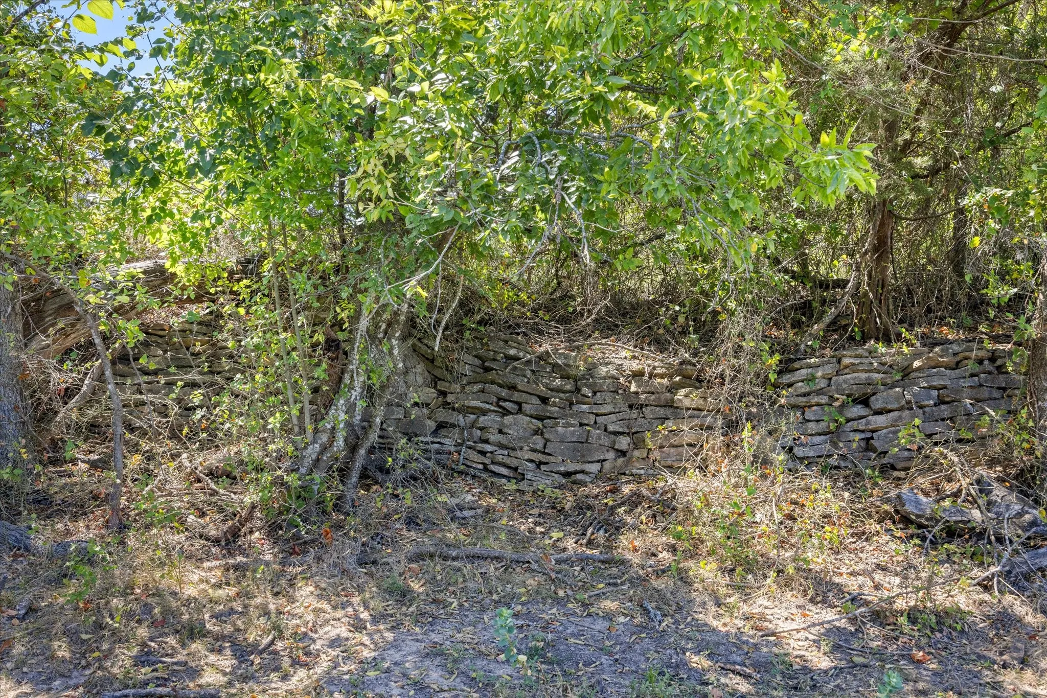 Unimproved Land For Sale in Erath County , 3575 County Road 522, Stephenville, Texas 76401, 0, 0, Garage spaces, 0 Sqft, built in 0, Price $615,000, mls#21361025, Real Estate Agent in Stephenville, Homes For Sale in Erath county, Homes For Sale in Stephenville, Realtor in Stephenville Texas, Real Estate Brokerage Independent Realty Texas, Luminita Cordes Realtor