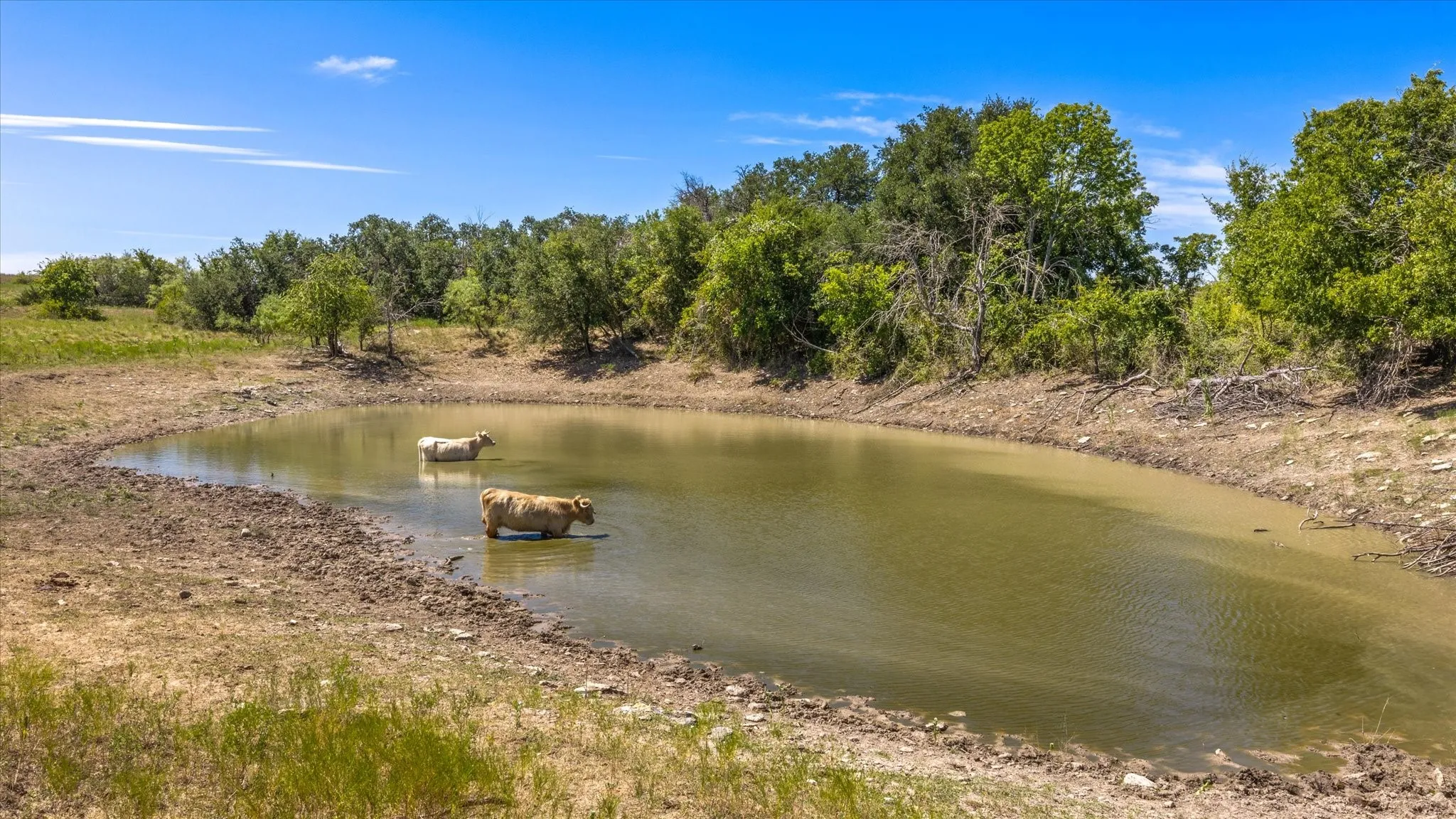 Unimproved Land For Sale in Erath County , 3575 County Road 522, Stephenville, Texas 76401, 0, 0, Garage spaces, 0 Sqft, built in 0, Price $615,000, mls#21361025, Real Estate Agent in Stephenville, Homes For Sale in Erath county, Homes For Sale in Stephenville, Realtor in Stephenville Texas, Real Estate Brokerage Independent Realty Texas, Luminita Cordes Realtor