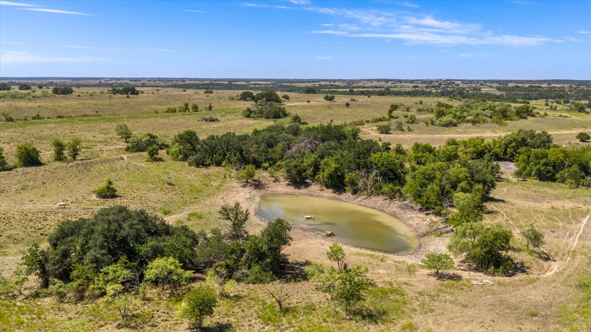 Unimproved Land For Sale in Erath County , 3575 County Road 522, Stephenville, Texas 76401, 0, 0, Garage spaces, 0 Sqft, built in 0, Price $615,000, mls#21361025, Real Estate Agent in Stephenville, Homes For Sale in Erath county, Homes For Sale in Stephenville, Realtor in Stephenville Texas, Real Estate Brokerage Independent Realty Texas, Luminita Cordes Realtor
