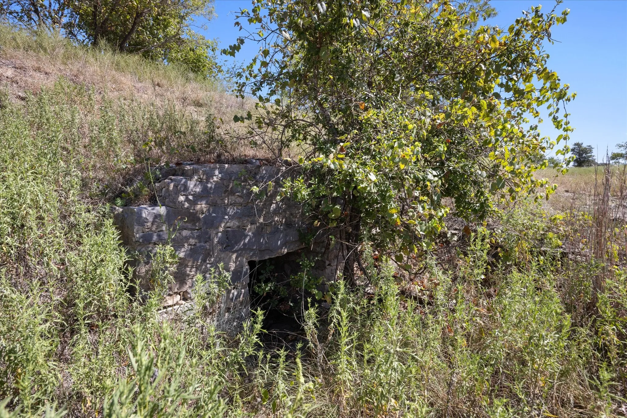 Unimproved Land For Sale in Erath County , 3575 County Road 522, Stephenville, Texas 76401, 0, 0, Garage spaces, 0 Sqft, built in 0, Price $615,000, mls#21361025, Real Estate Agent in Stephenville, Homes For Sale in Erath county, Homes For Sale in Stephenville, Realtor in Stephenville Texas, Real Estate Brokerage Independent Realty Texas, Luminita Cordes Realtor