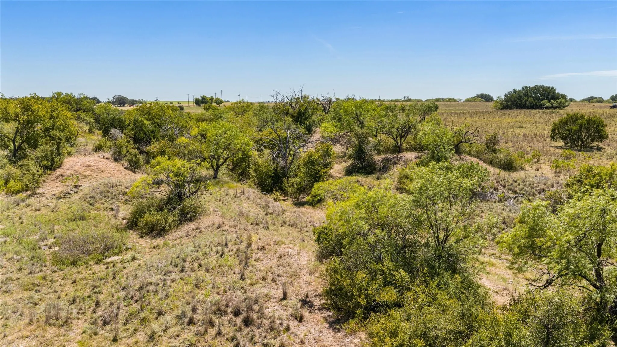 Unimproved Land For Sale in Erath County , 3575 County Road 522, Stephenville, Texas 76401, 0, 0, Garage spaces, 0 Sqft, built in 0, Price $615,000, mls#21361025, Real Estate Agent in Stephenville, Homes For Sale in Erath county, Homes For Sale in Stephenville, Realtor in Stephenville Texas, Real Estate Brokerage Independent Realty Texas, Luminita Cordes Realtor