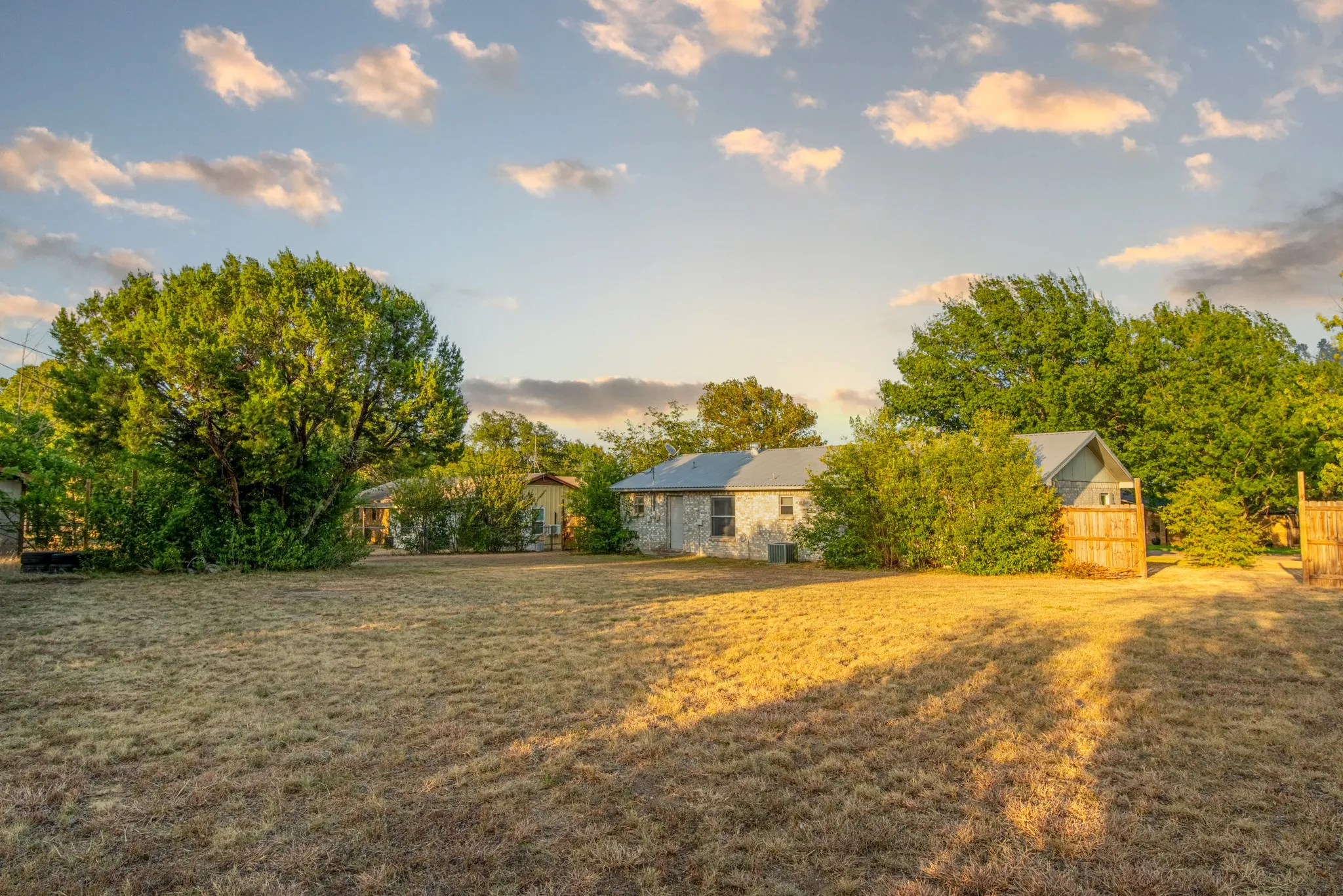 Back Yard