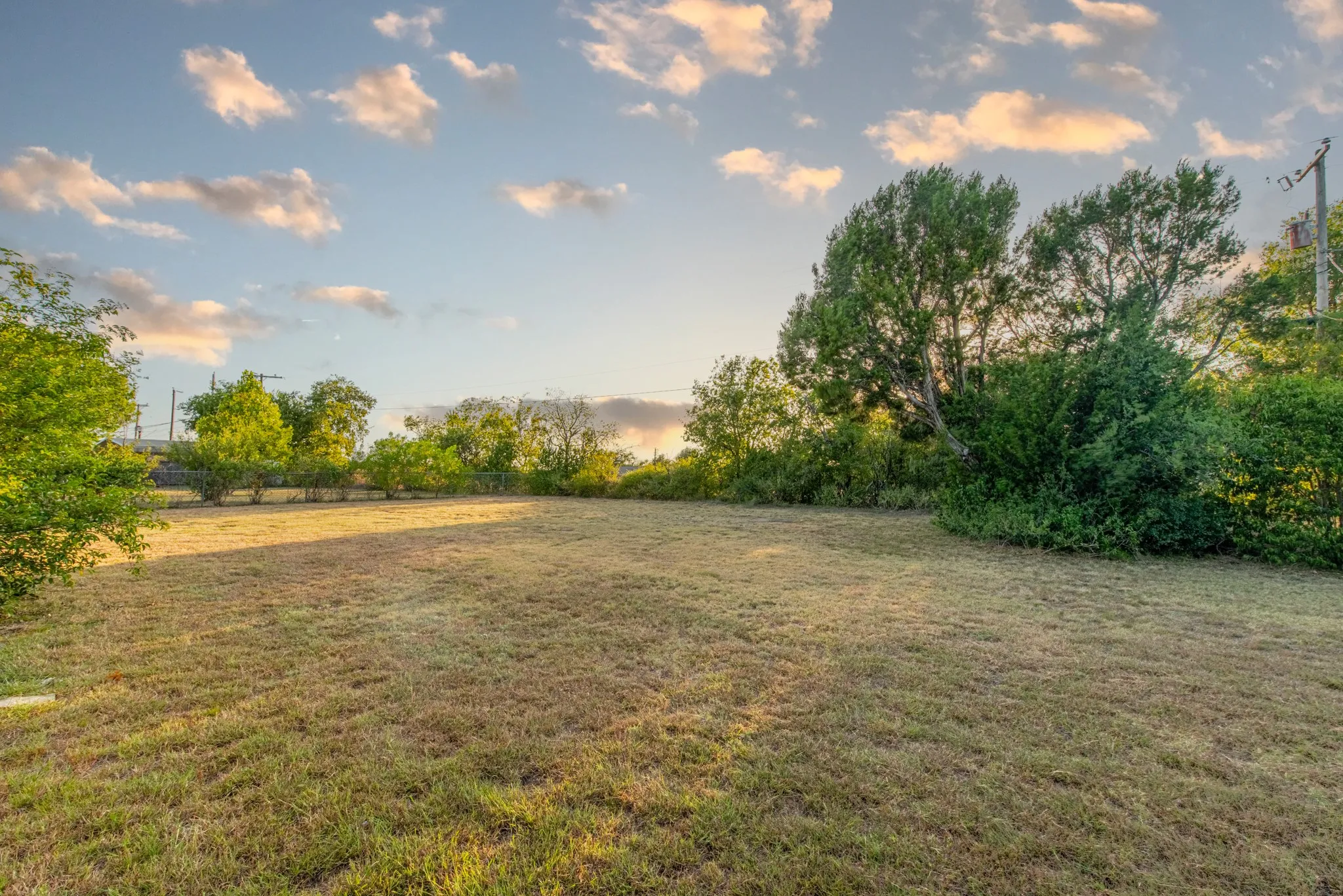 Spacious Back Yard