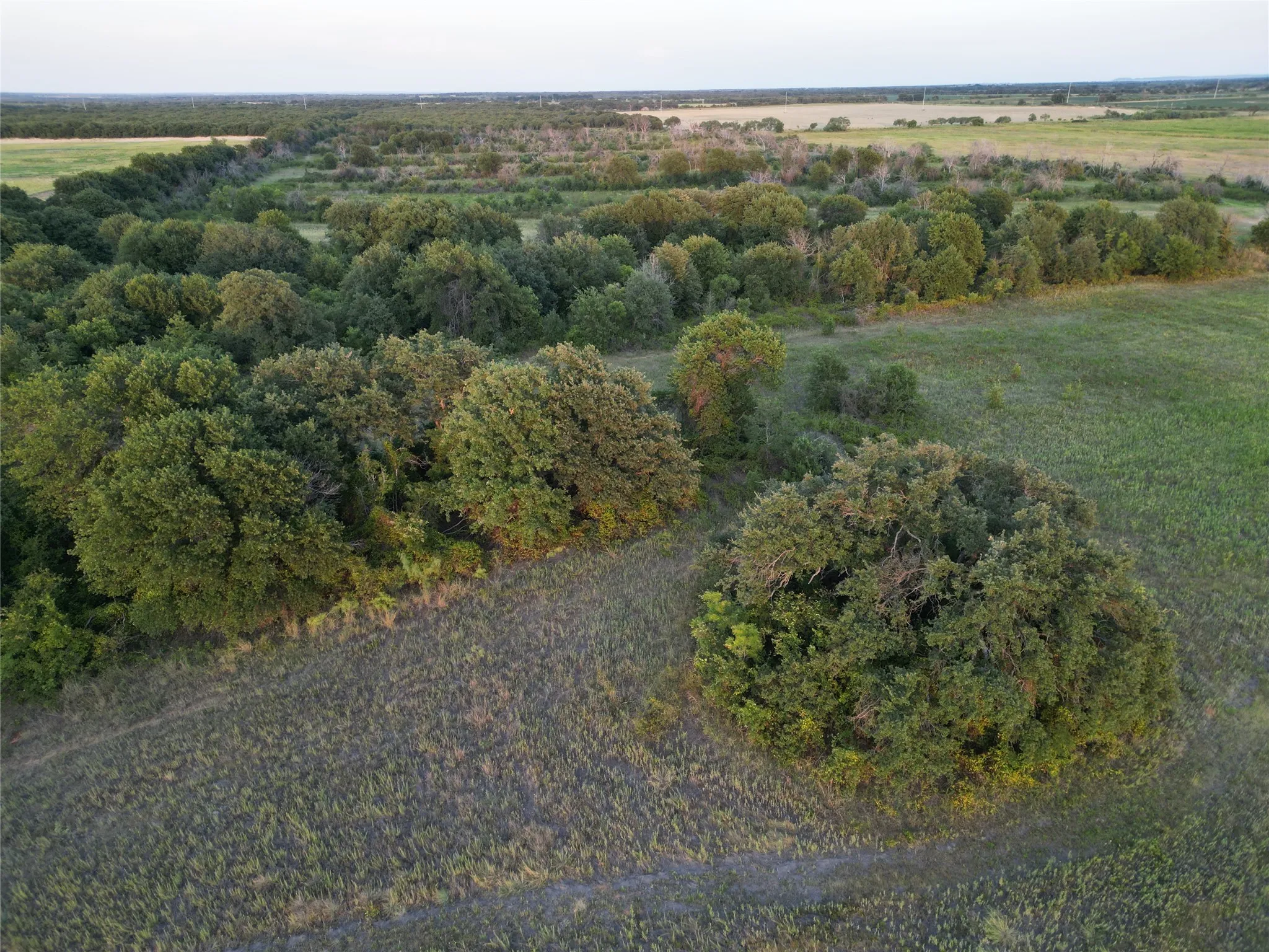 Farm For Sale in Comanche County , 1448 County Road 129, Rising Star, Texas 76471, 2 Bedroom, 1 Bathroom, 2 Garage spaces, 672 Sqft, built in 1965, Price $1,600,000, mls#21361052, Real Estate Agent in Rising Star, Homes For Sale in Comanche county, Homes For Sale in Rising Star, Realtor in Rising Star Texas, Real Estate Brokerage Independent Realty Texas, Luminita Cordes Realtor