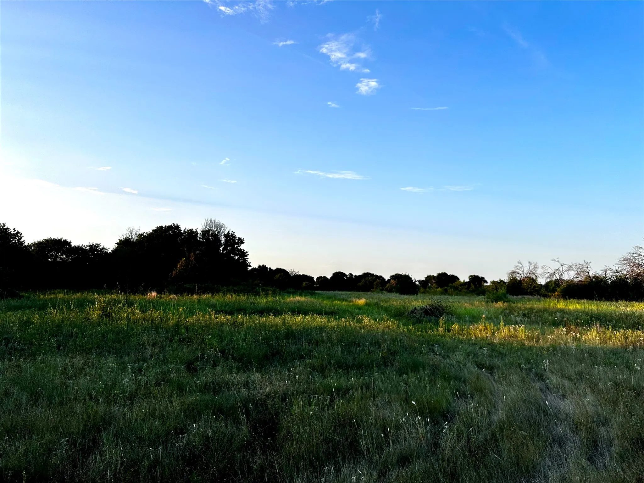 Farm For Sale in Comanche County , 1448 County Road 129, Rising Star, Texas 76471, 2 Bedroom, 1 Bathroom, 2 Garage spaces, 672 Sqft, built in 1965, Price $1,600,000, mls#21361052, Real Estate Agent in Rising Star, Homes For Sale in Comanche county, Homes For Sale in Rising Star, Realtor in Rising Star Texas, Real Estate Brokerage Independent Realty Texas, Luminita Cordes Realtor