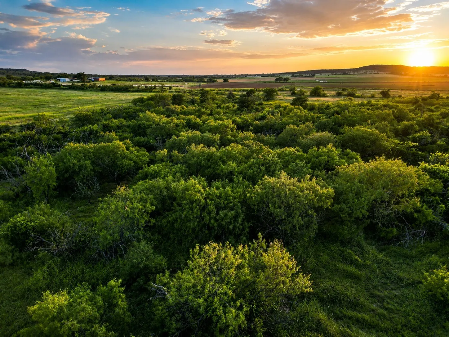 Farm For Sale in Comanche County , 1448 County Road 129, Rising Star, Texas 76471, 2 Bedroom, 1 Bathroom, 2 Garage spaces, 672 Sqft, built in 1965, Price $1,600,000, mls#21361052, Real Estate Agent in Rising Star, Homes For Sale in Comanche county, Homes For Sale in Rising Star, Realtor in Rising Star Texas, Real Estate Brokerage Independent Realty Texas, Luminita Cordes Realtor