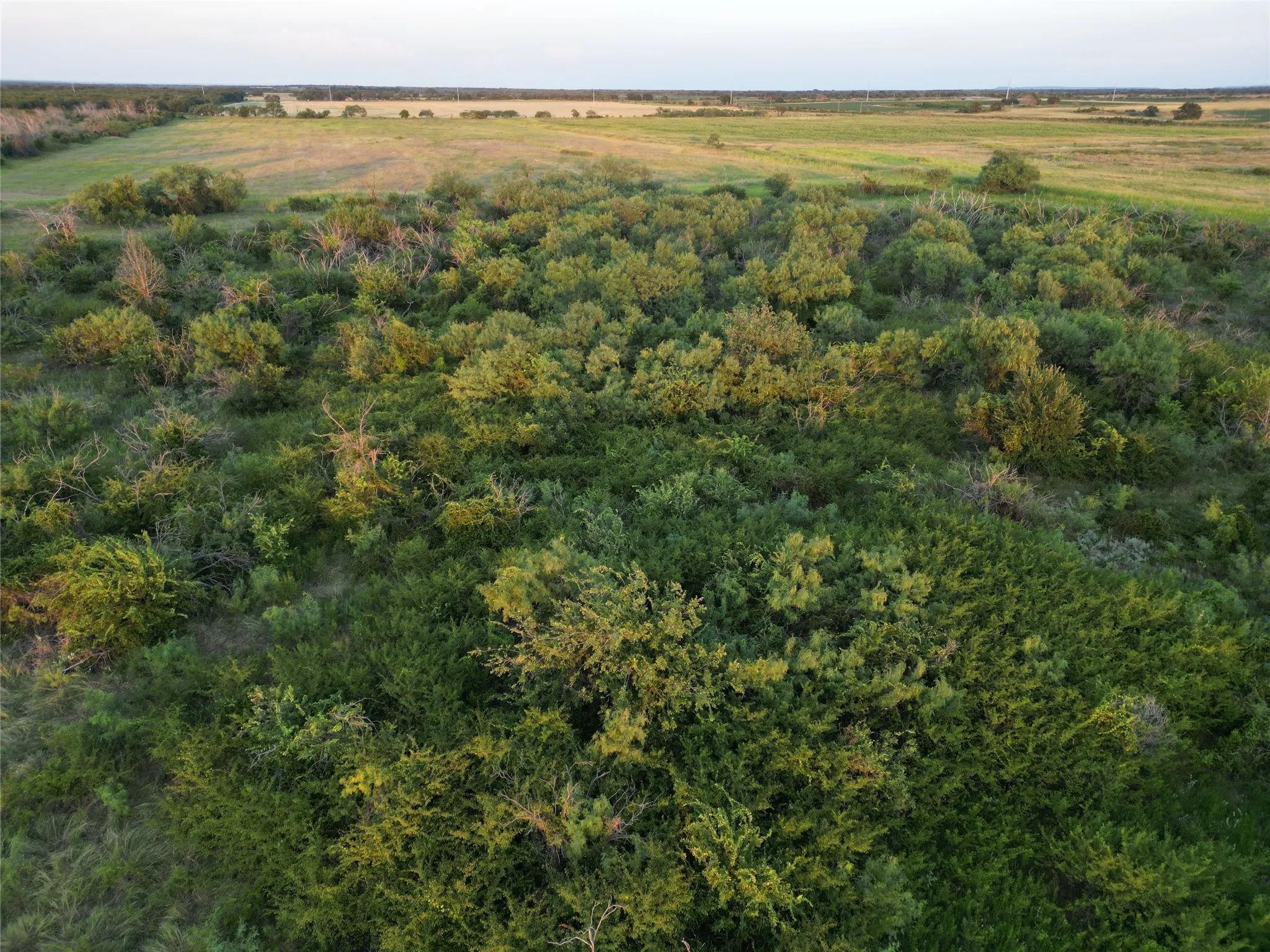 Farm For Sale in Comanche County , 1448 County Road 129, Rising Star, Texas 76471, 2 Bedroom, 1 Bathroom, 2 Garage spaces, 672 Sqft, built in 1965, Price $1,600,000, mls#21361052, Real Estate Agent in Rising Star, Homes For Sale in Comanche county, Homes For Sale in Rising Star, Realtor in Rising Star Texas, Real Estate Brokerage Independent Realty Texas, Luminita Cordes Realtor