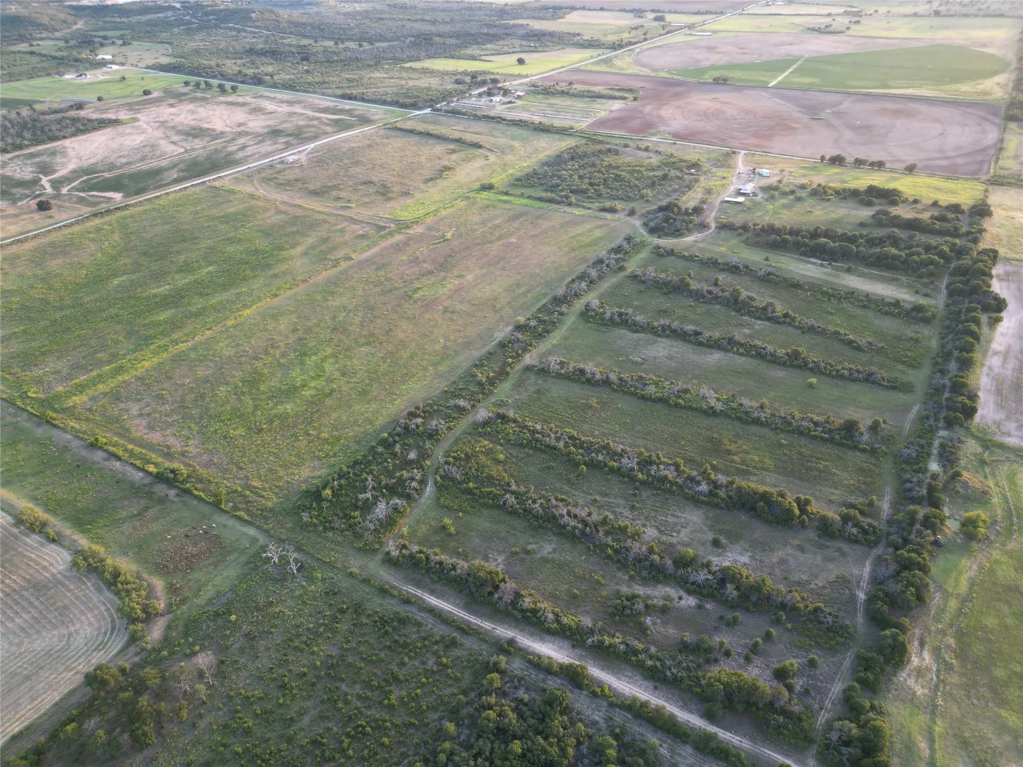Farm For Sale in Comanche County , 1448 County Road 129, Rising Star, Texas 76471, 2 Bedroom, 1 Bathroom, 2 Garage spaces, 672 Sqft, built in 1965, Price $1,600,000, mls#21361052, Real Estate Agent in Rising Star, Homes For Sale in Comanche county, Homes For Sale in Rising Star, Realtor in Rising Star Texas, Real Estate Brokerage Independent Realty Texas, Luminita Cordes Realtor