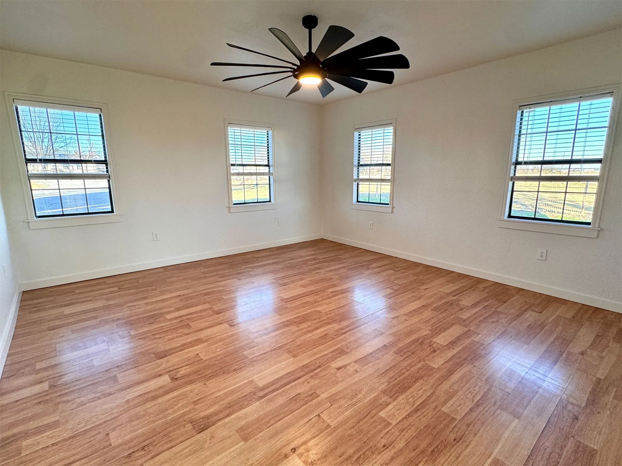 Beautiful natural lighting with amazing ceiling fan.