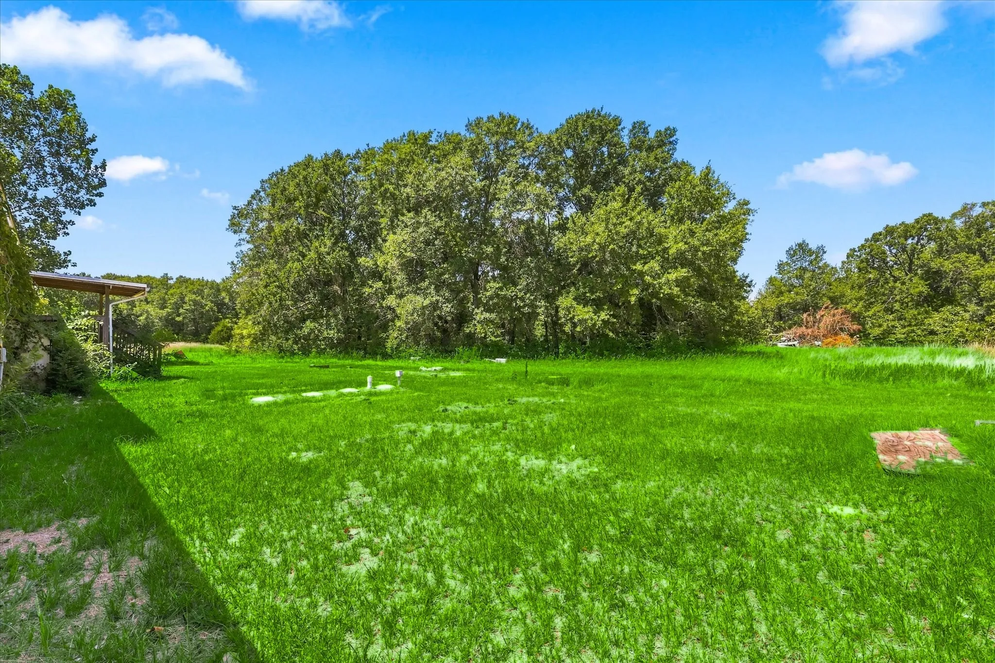 backyard