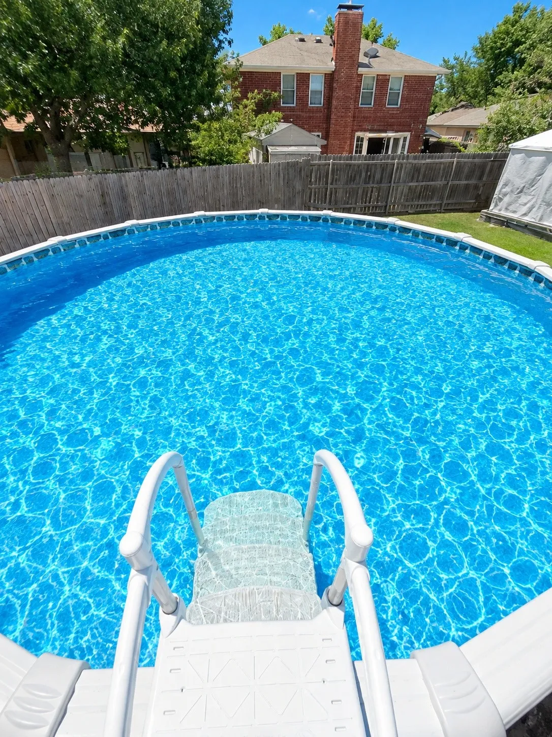 Above-ground pool with integrated entry steps and a surrounding wood privacy fence