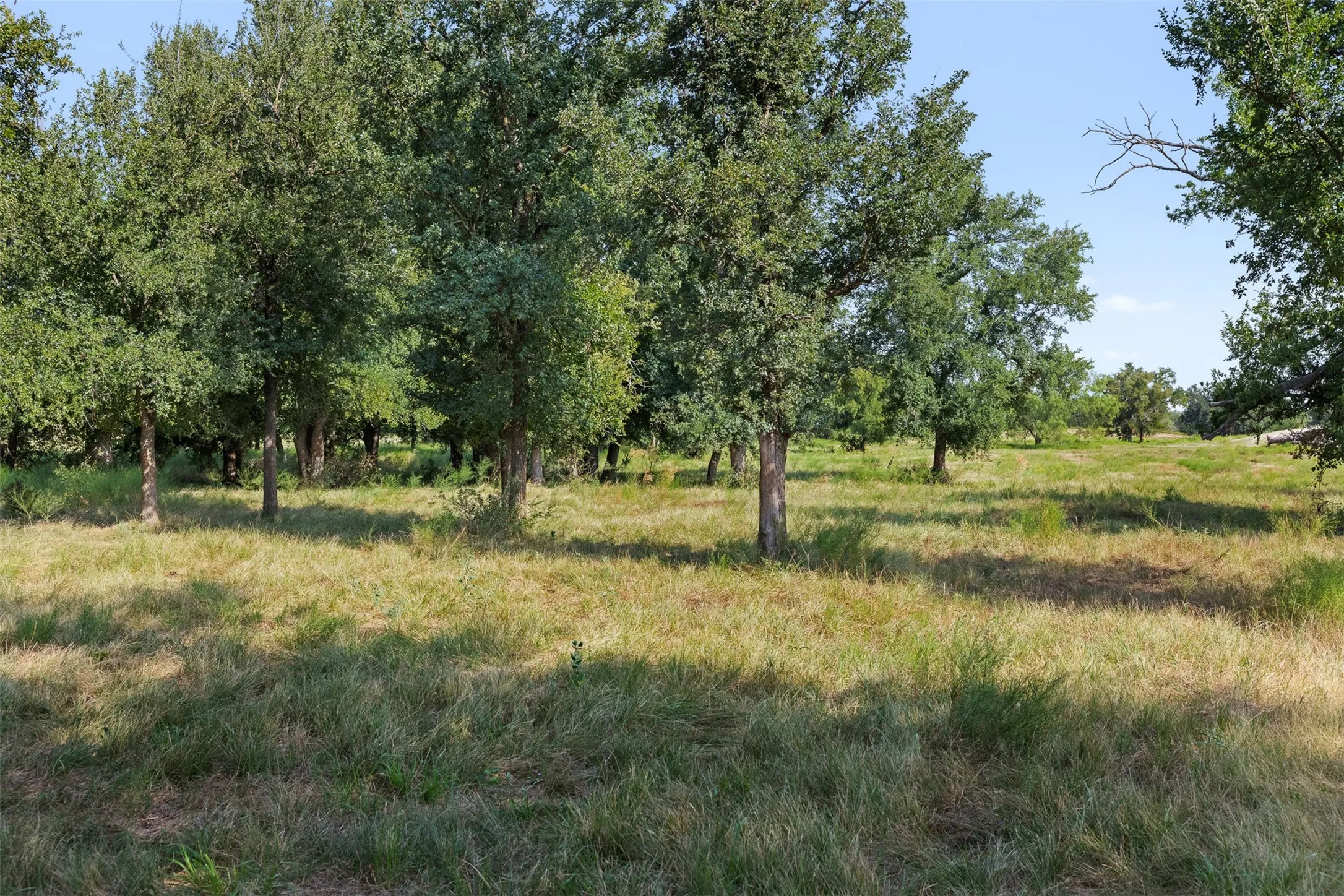Improved Land For Sale in Coleman County , TBD FM 1176 S, Santa Anna, Texas 76878, 0, 0, Garage spaces, 0 Sqft, built in 0, mls#21360171, Real Estate Agent in Santa Anna, Homes For Sale in Coleman county, Homes For Sale in Santa Anna, Realtor in Santa Anna Texas, Real Estate Brokerage Independent Realty Texas, Luminita Cordes Realtor